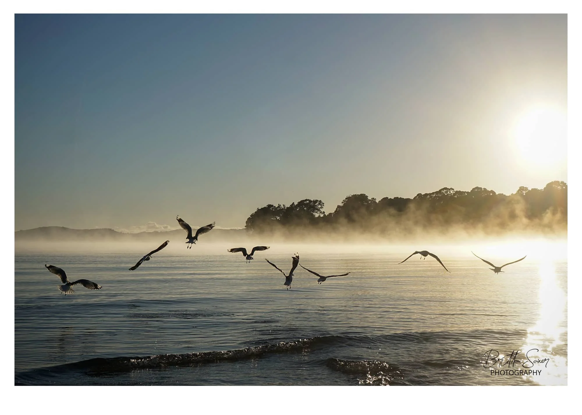 Calendar_2026_10-WEB-october.jpg