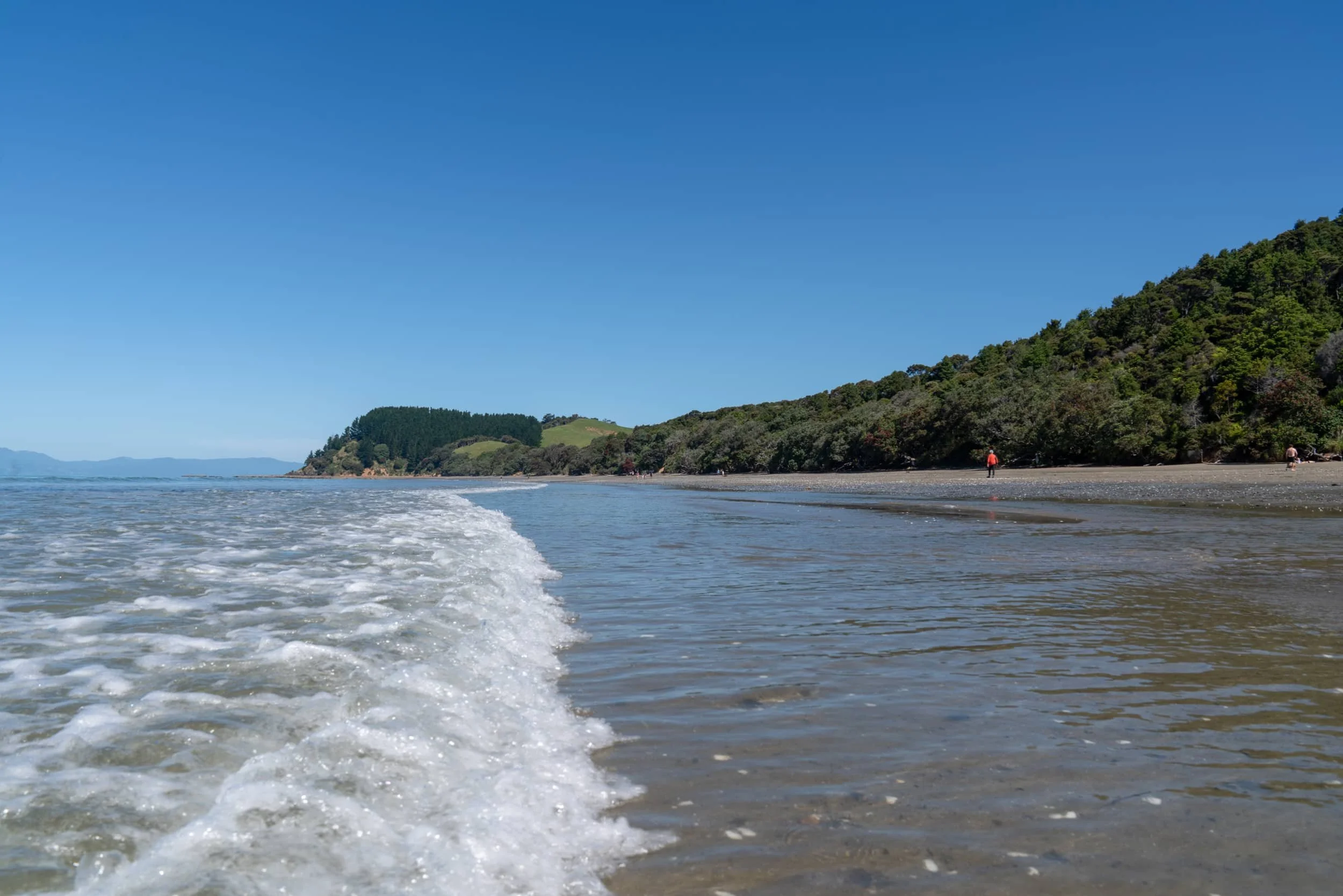 Tawhitokino _ Summer_0040_WEB.jpg