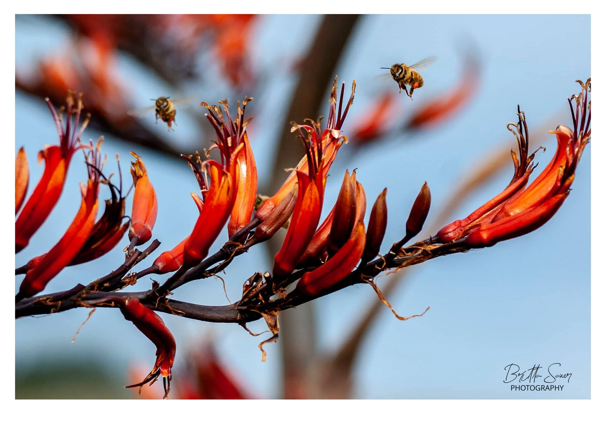 Calendar_2026_2-WEB-february.jpg