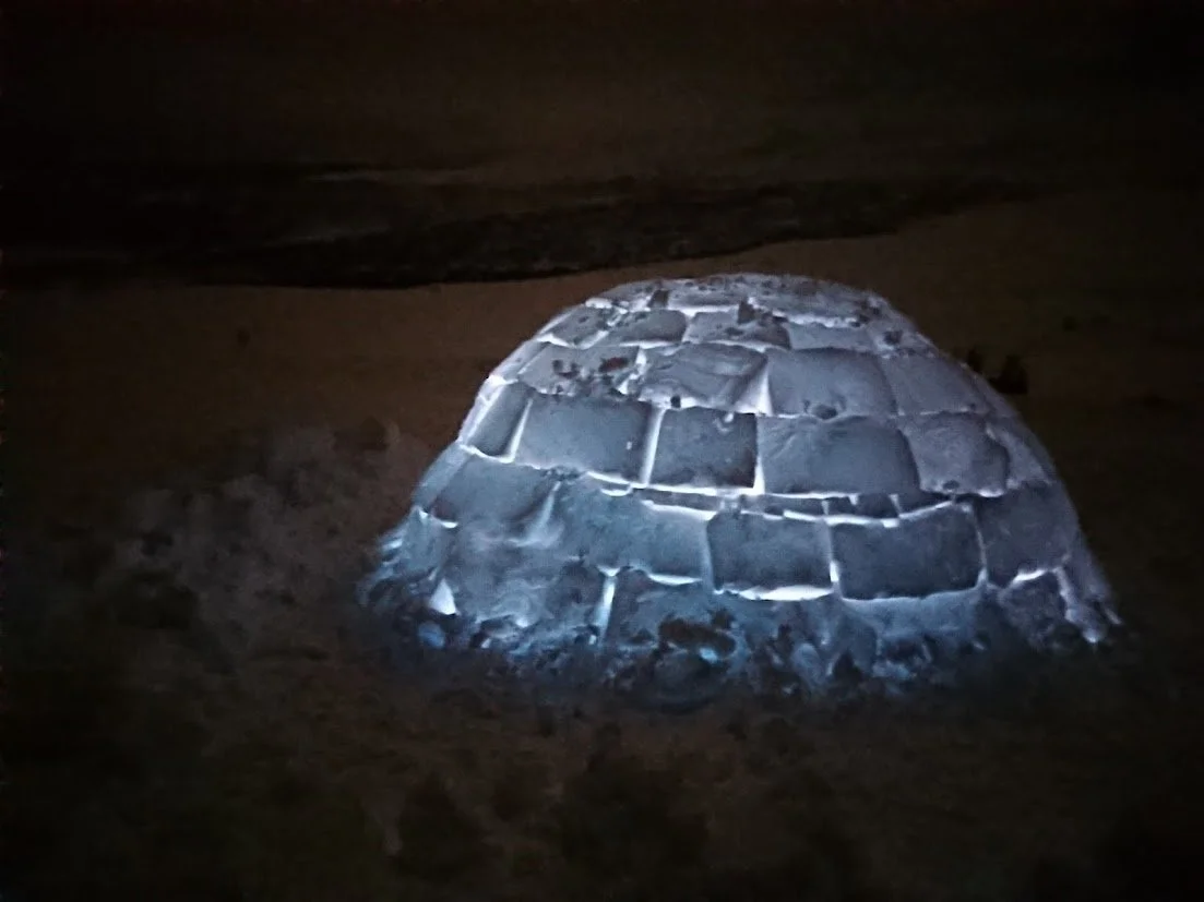 Vil du lære å bygge Igloo?