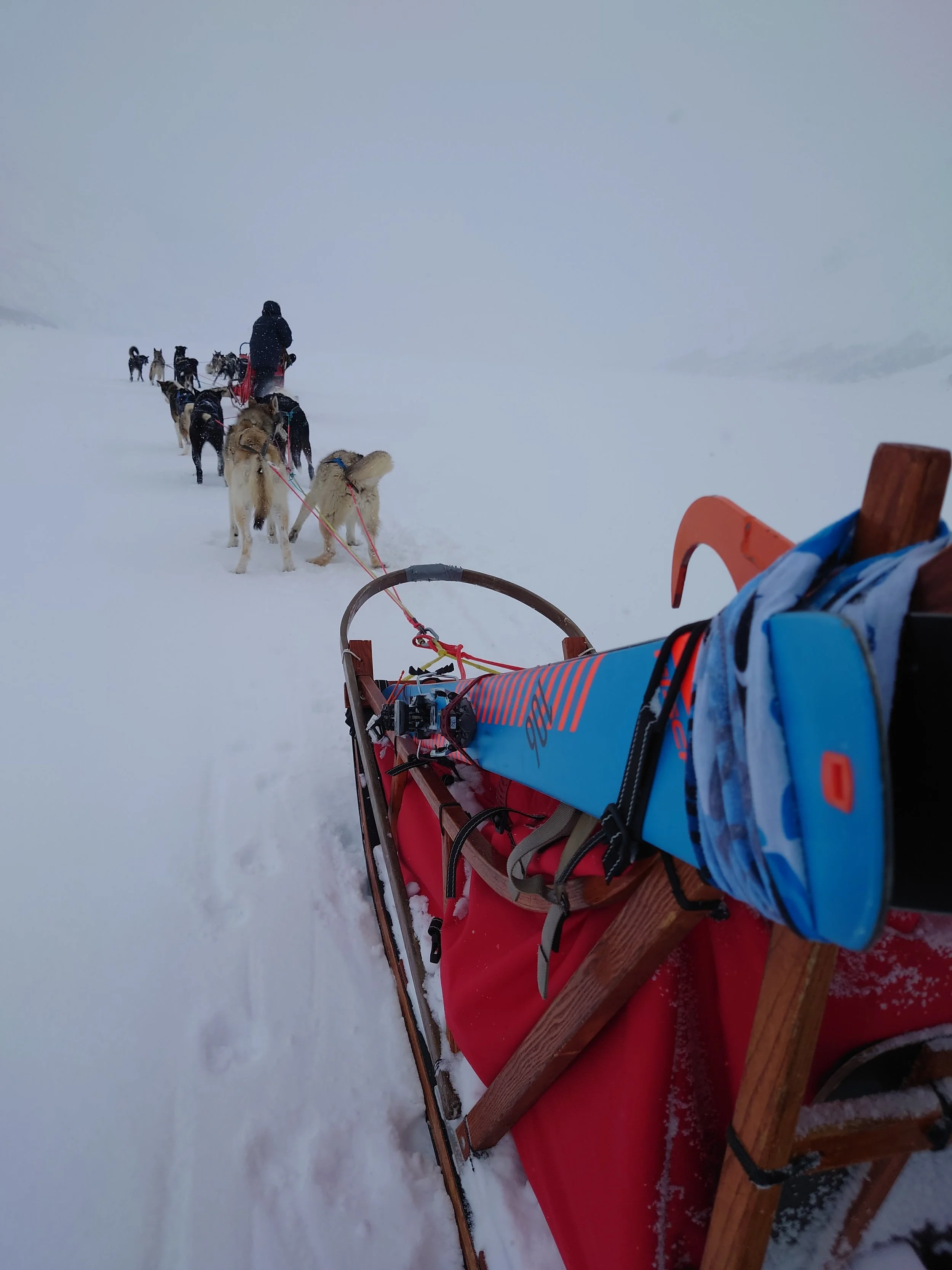 Hund&Ski med Jotunheimen Husky på Gjendesheim Turisthytte