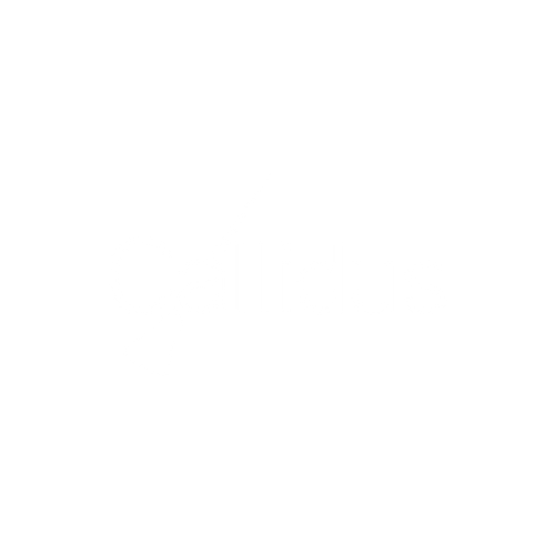 Logo 8