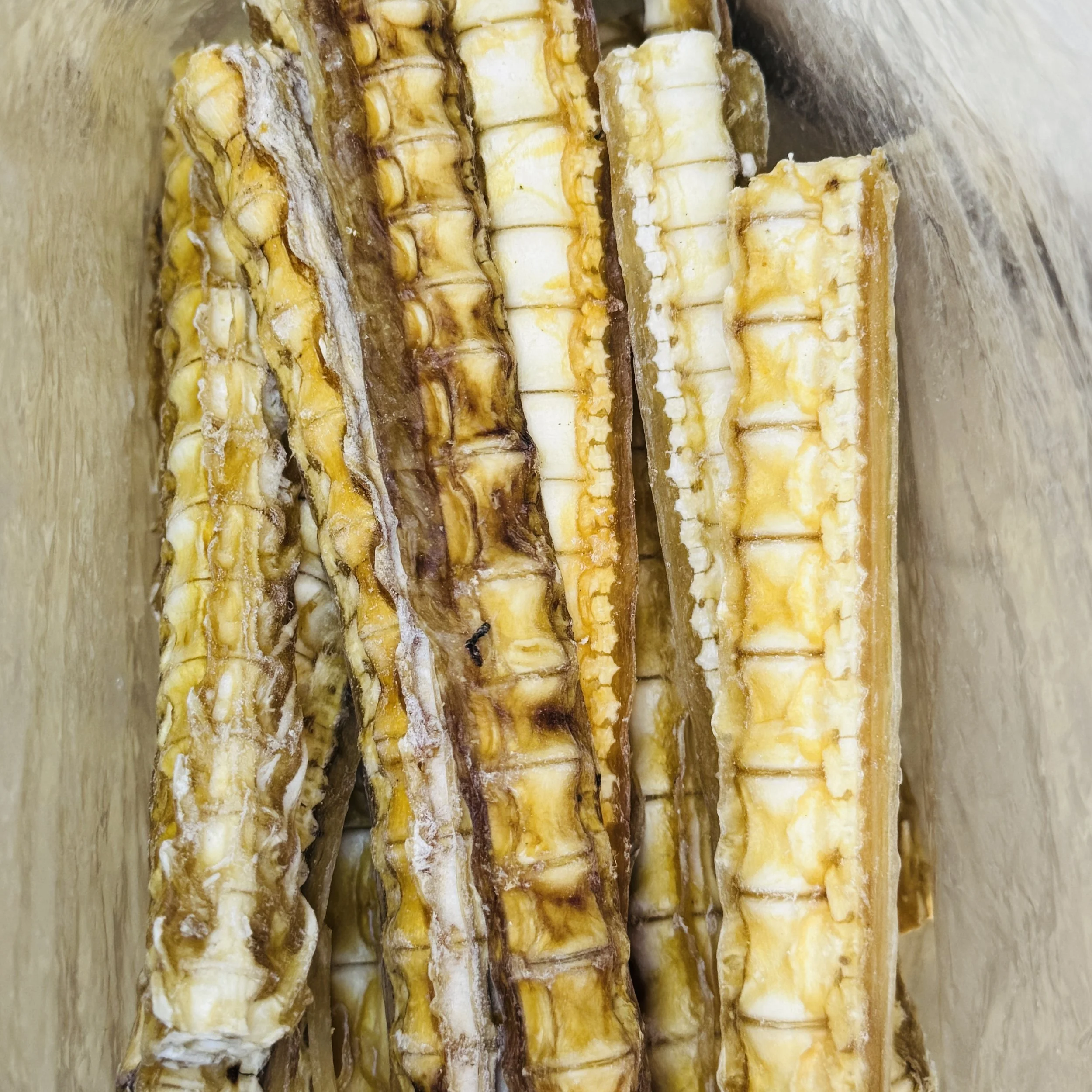 Shark Cartilage 3.jpg