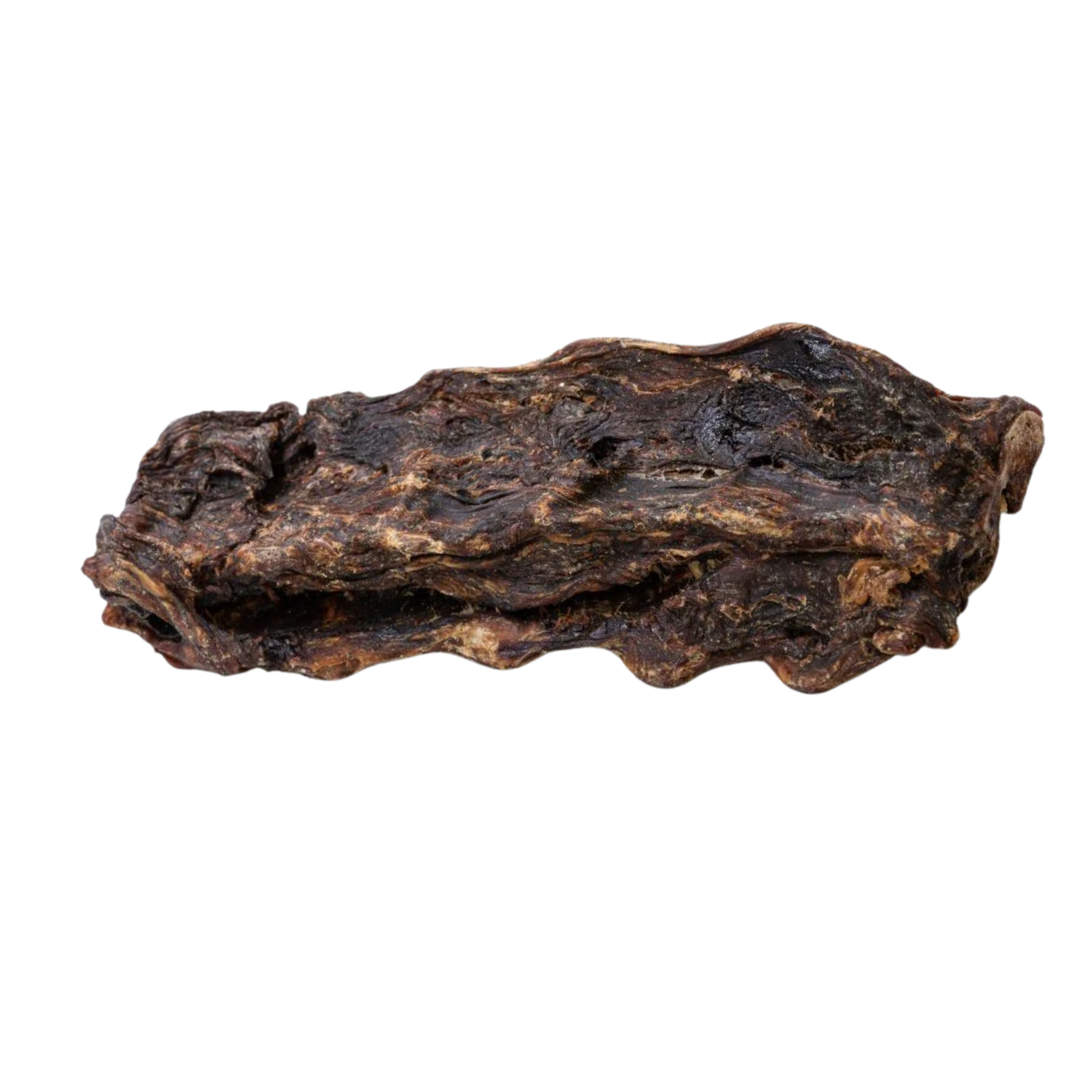 Kangaroo Lumbar 1.png