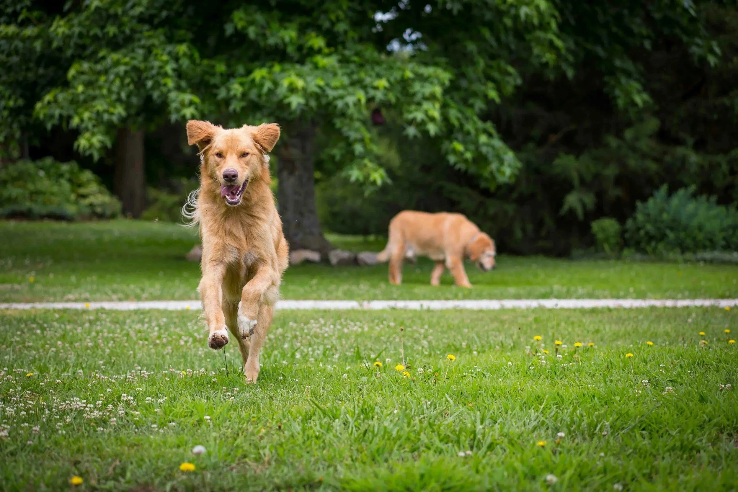 Want a Better Recall?