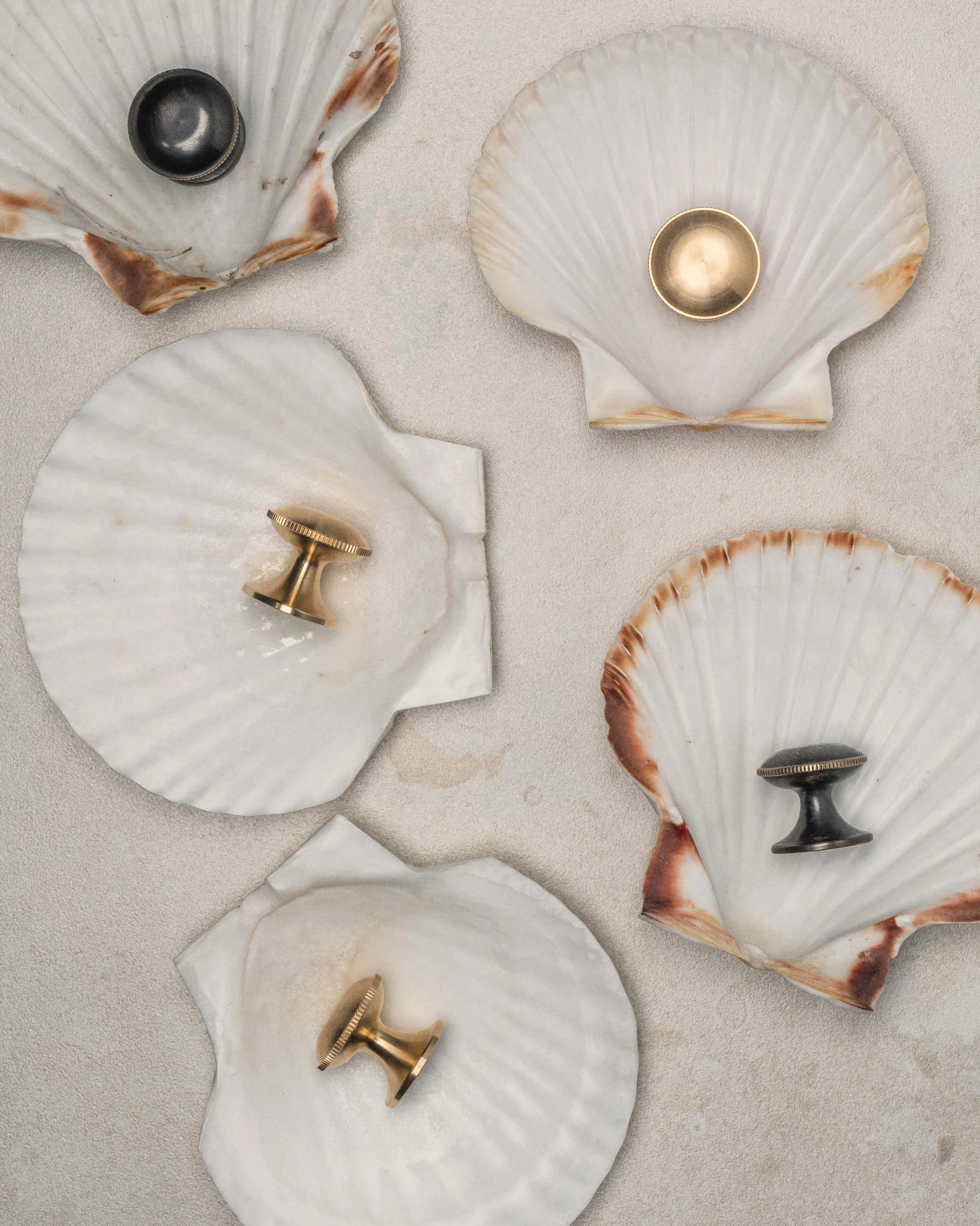 Agent Bauer seashell knobs handmade Sweden Brass