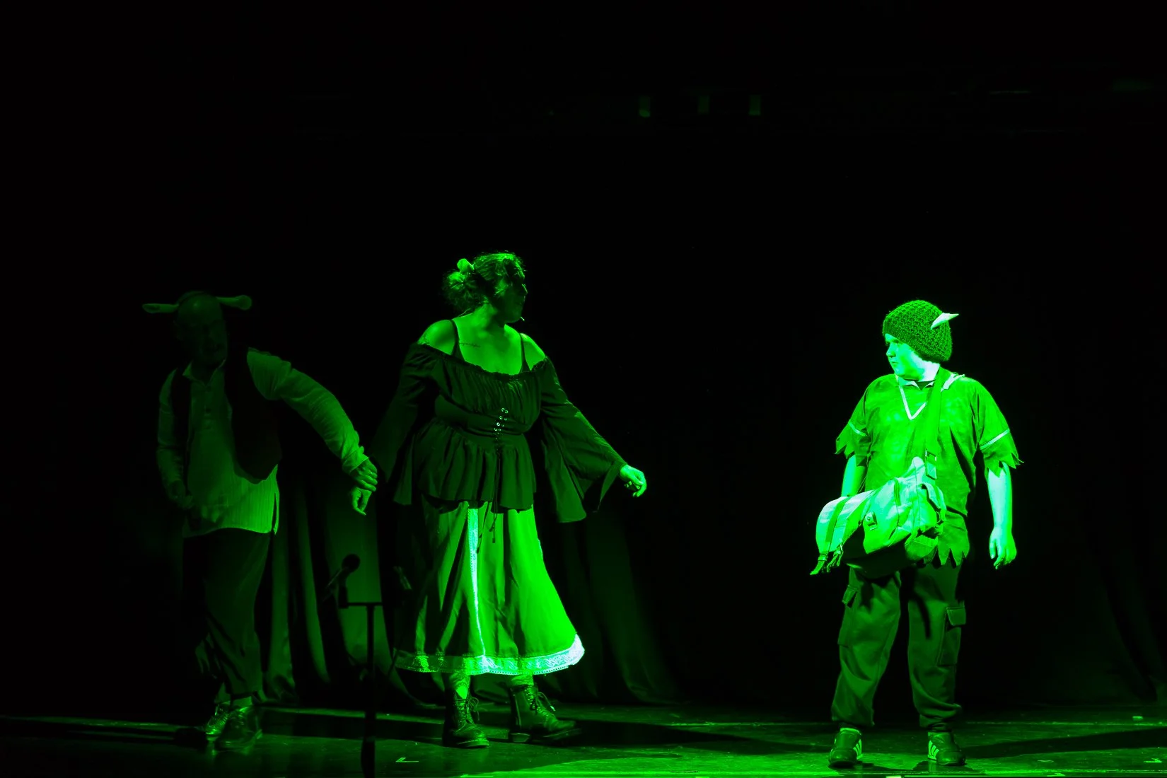 Shrek the Musical-7.JPG