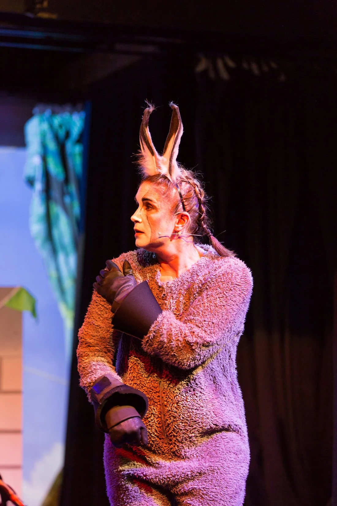 Shrek the Musical-132.JPG