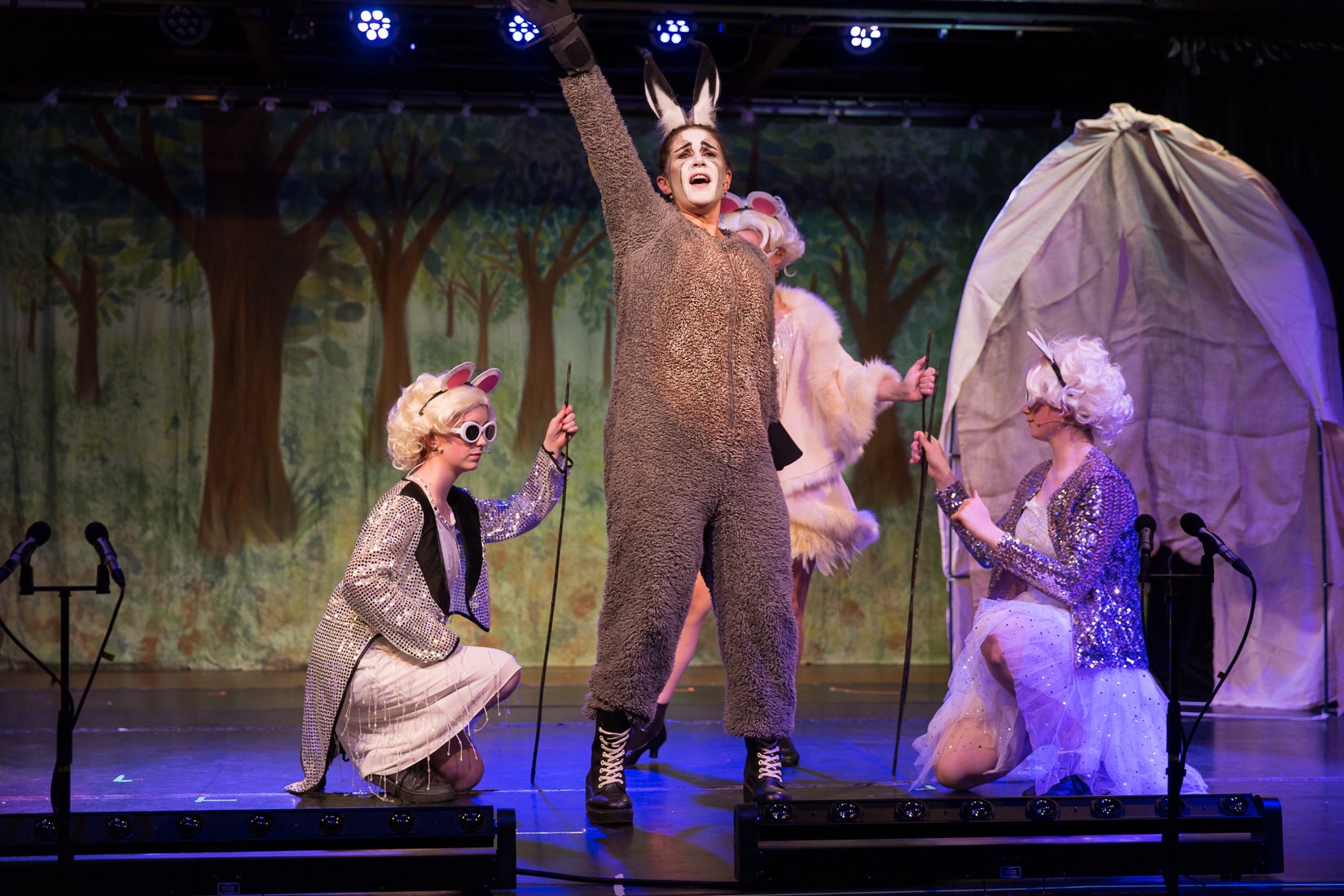Shrek the Musical-465.JPG