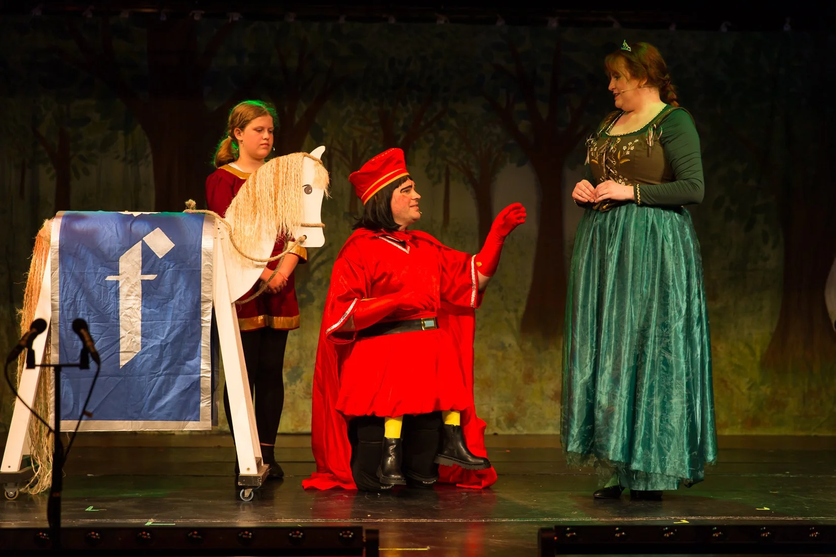 Shrek the Musical-496.JPG