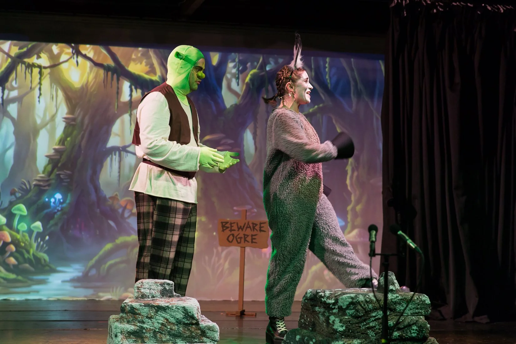 Shrek the Musical-567.JPG
