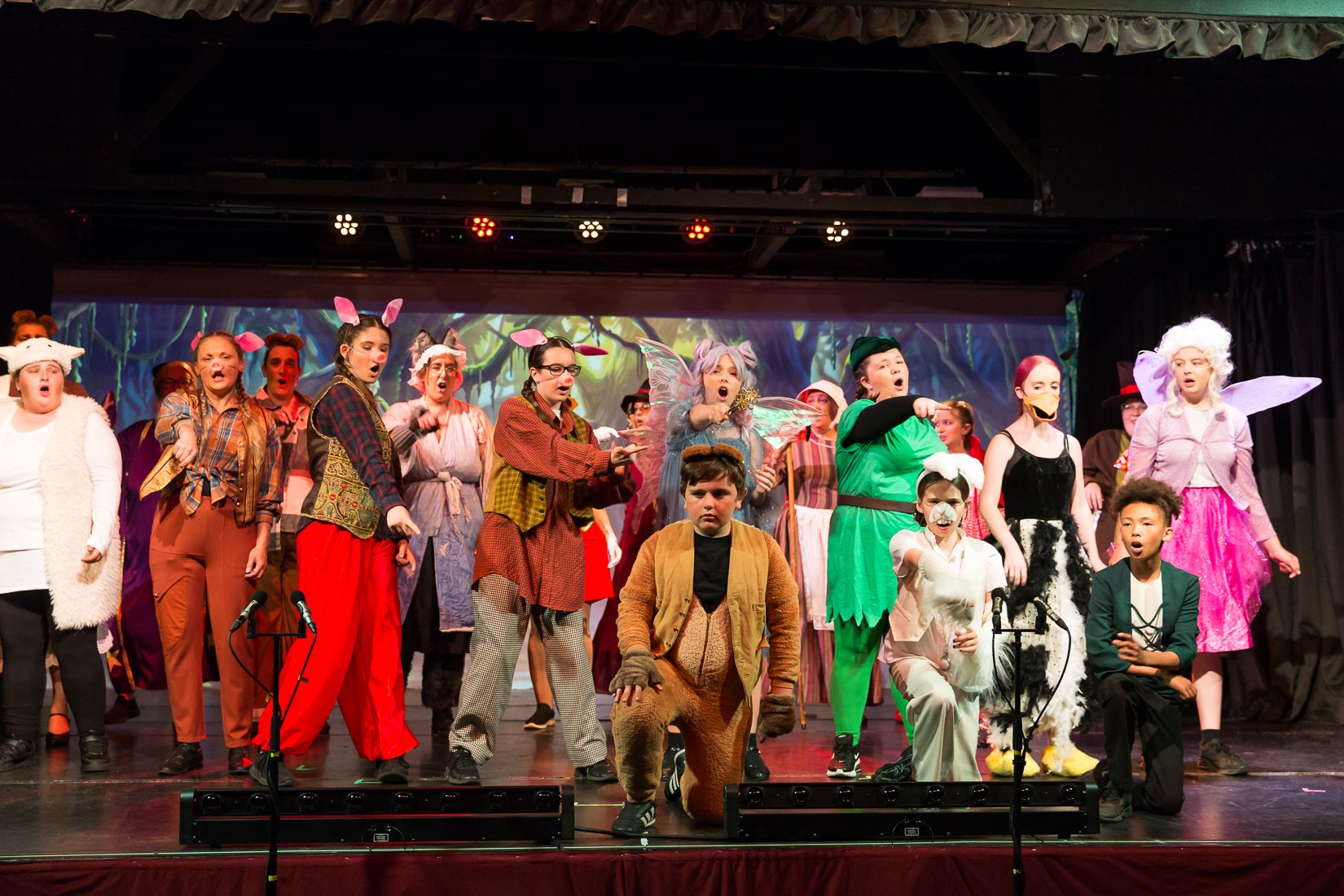 Shrek the Musical-51.JPG