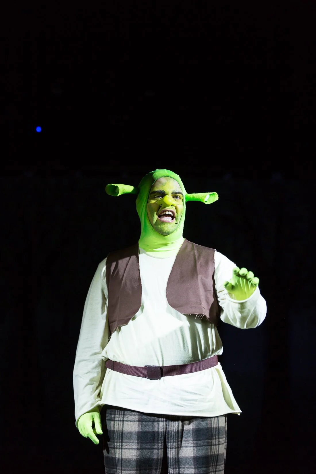 Shrek the Musical-313.JPG