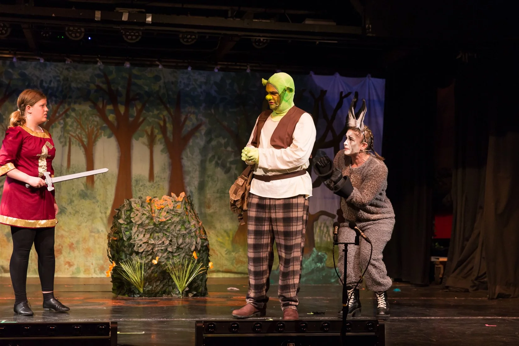 Shrek the Musical-83.JPG