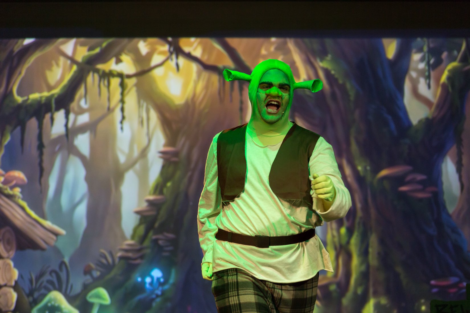 Shrek the Musical-26.JPG