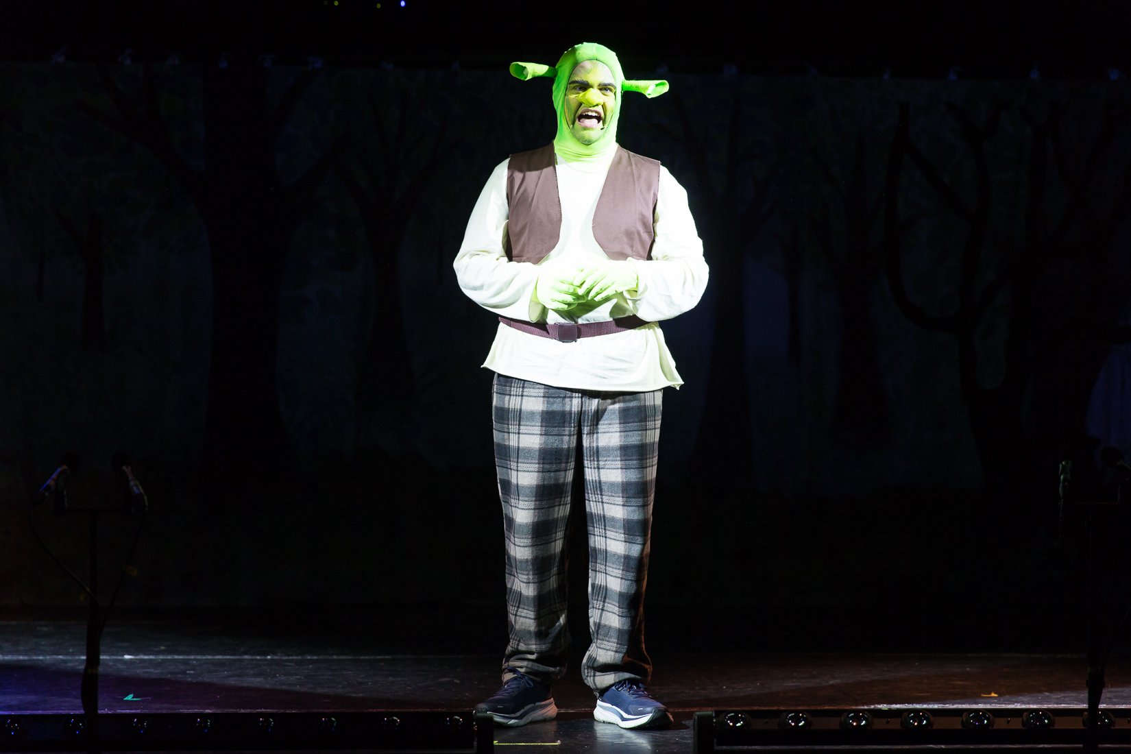 Shrek the Musical-312.JPG