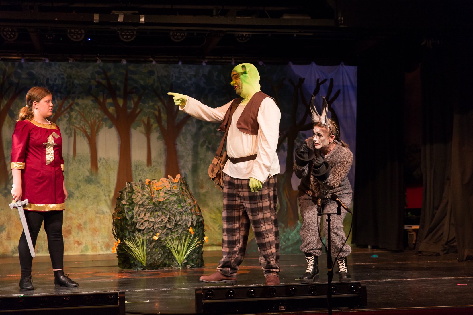 Shrek the Musical-84.JPG