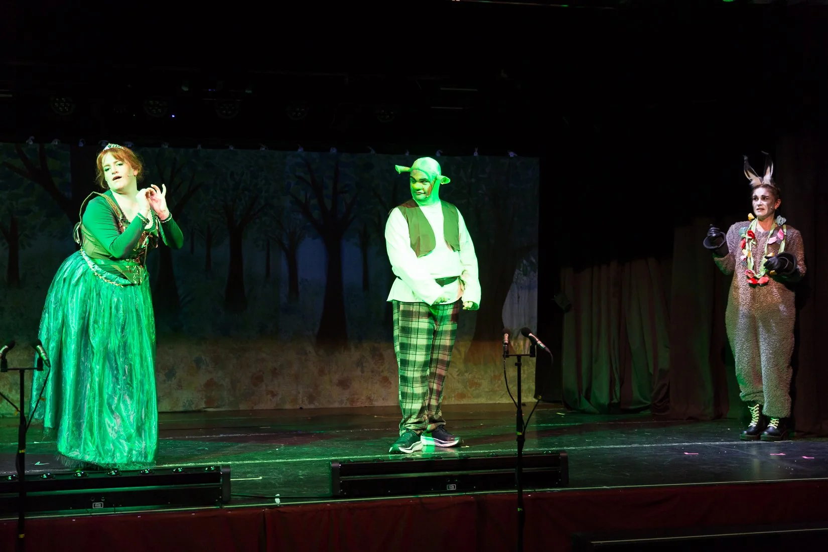 Shrek the Musical-395.JPG