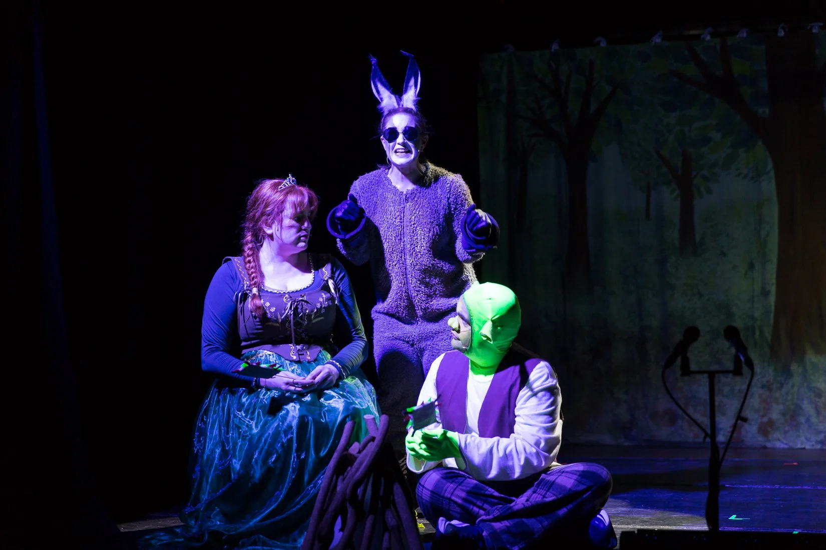 Shrek the Musical-458.JPG