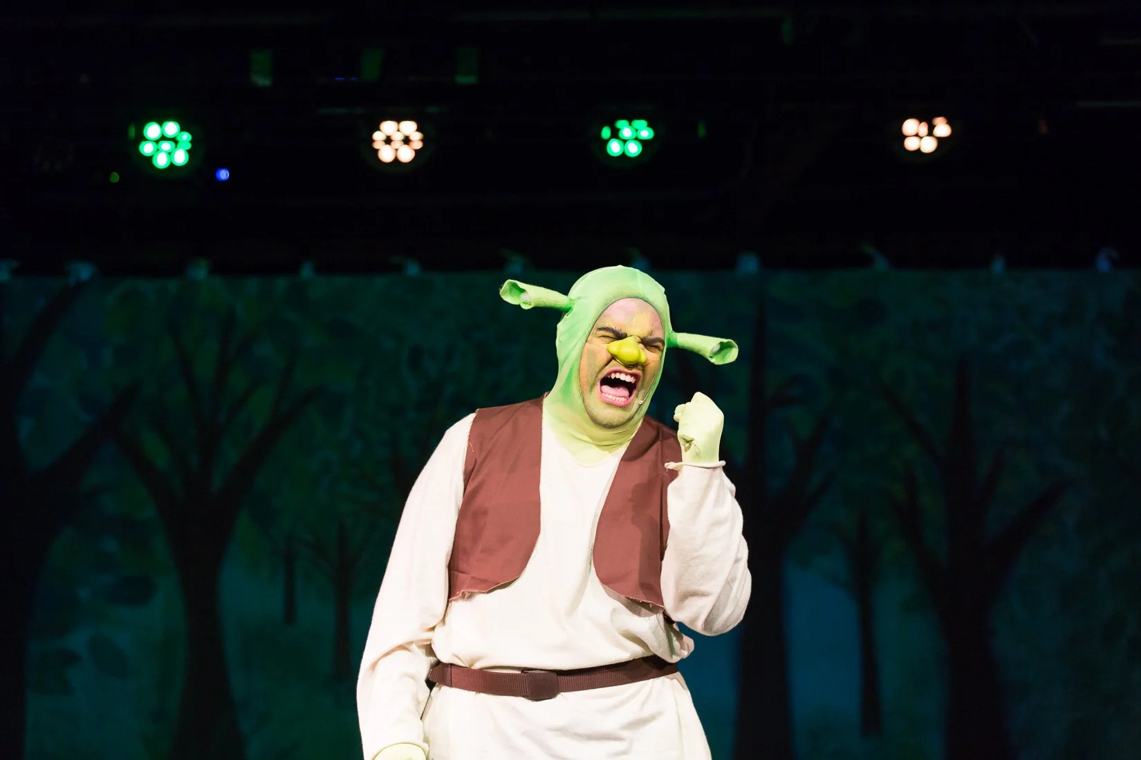 Shrek the Musical-510.JPG