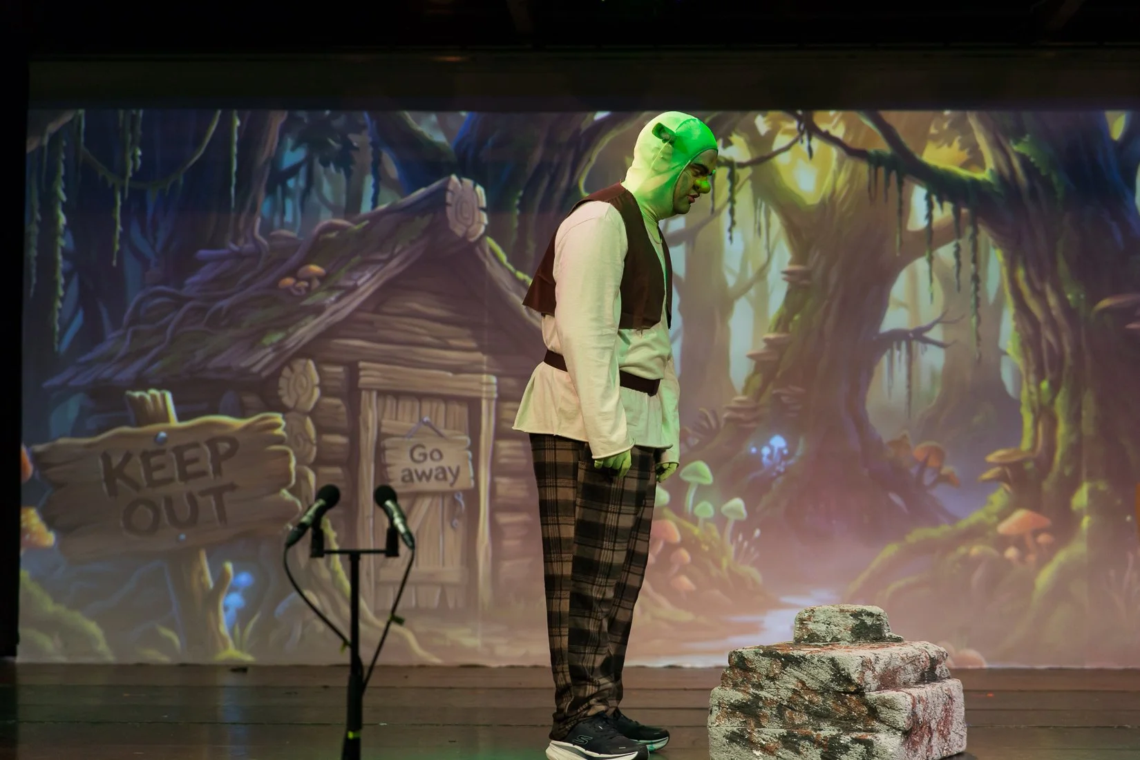 Shrek the Musical-562.JPG