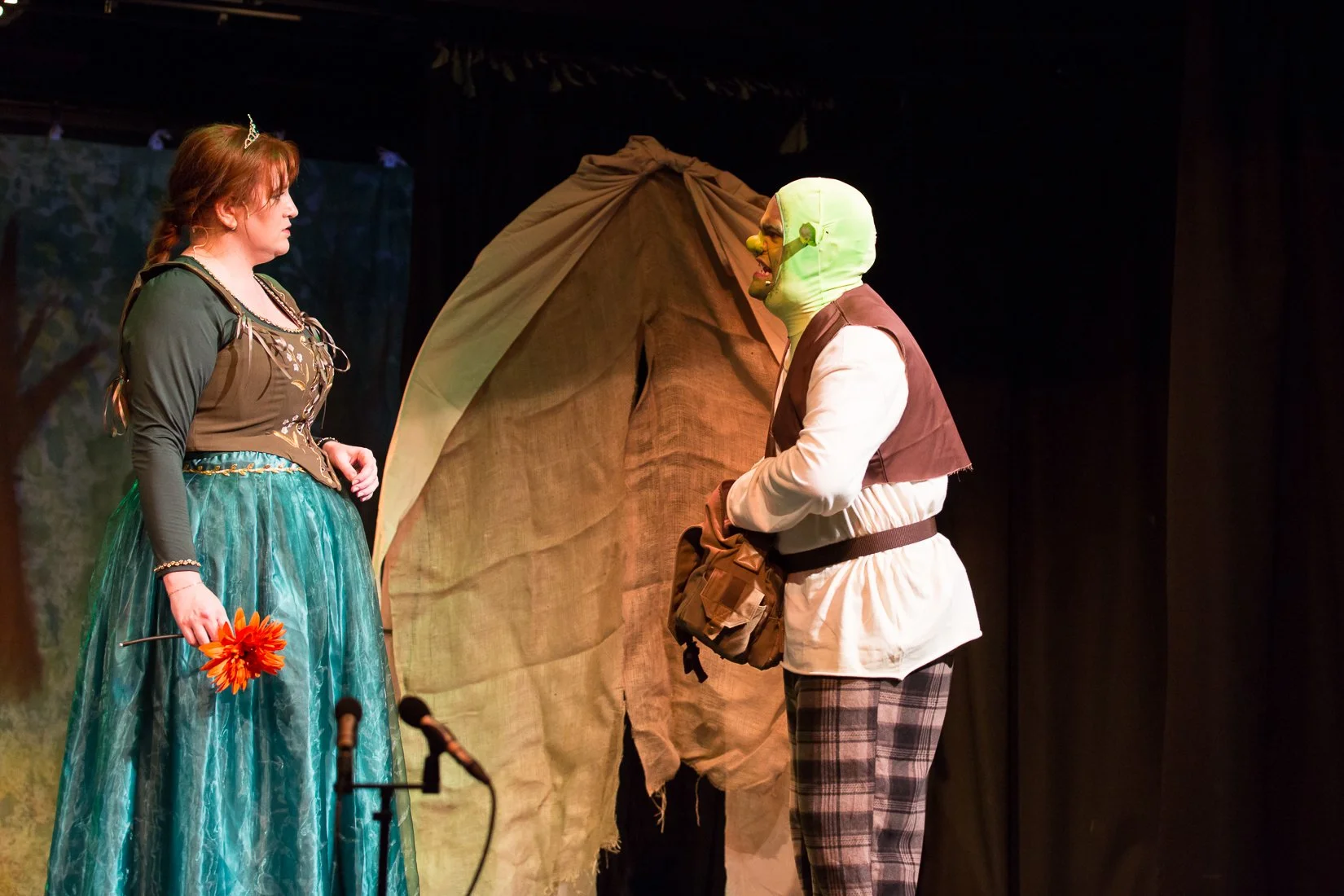 Shrek the Musical-489.JPG