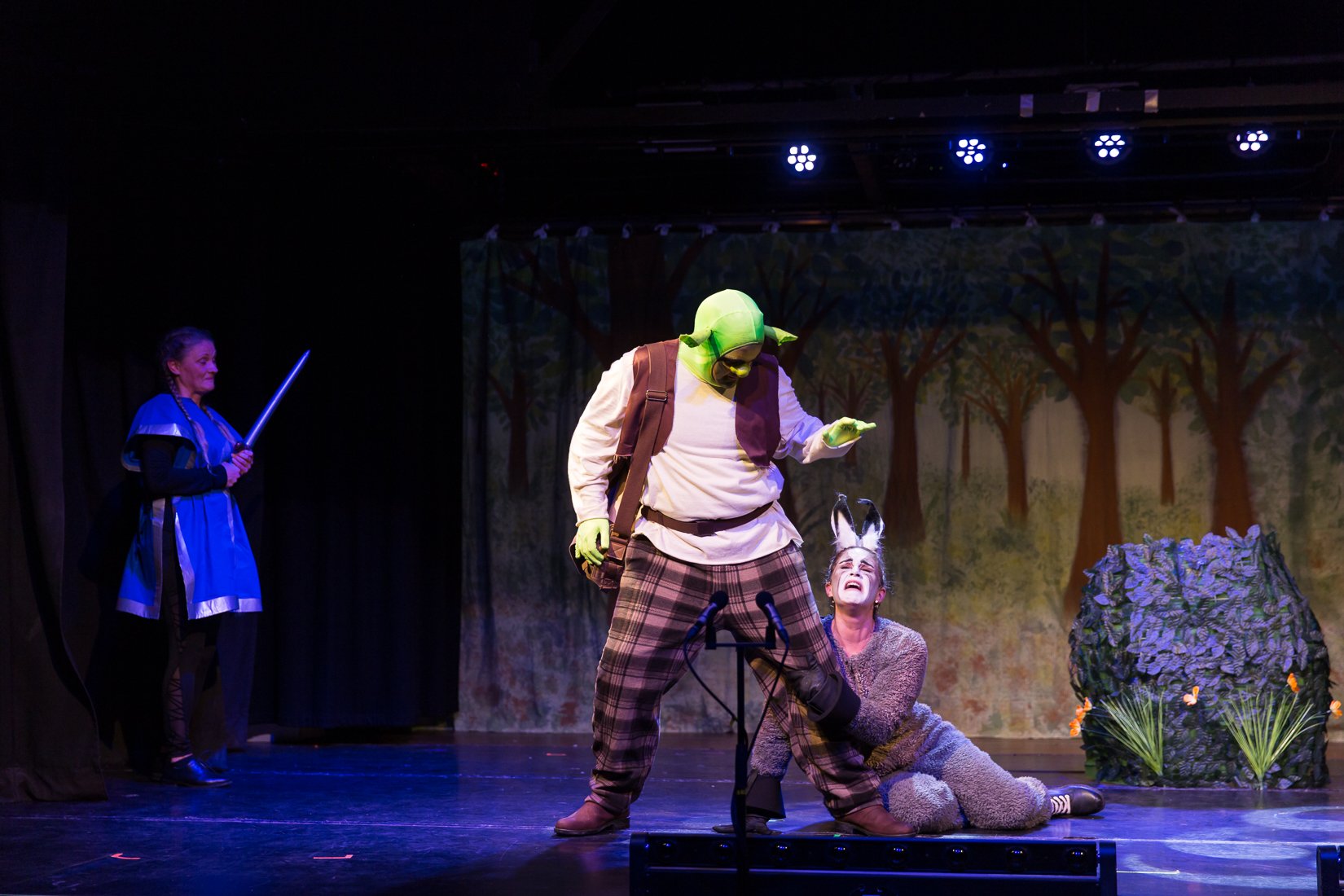 Shrek the Musical-105.JPG