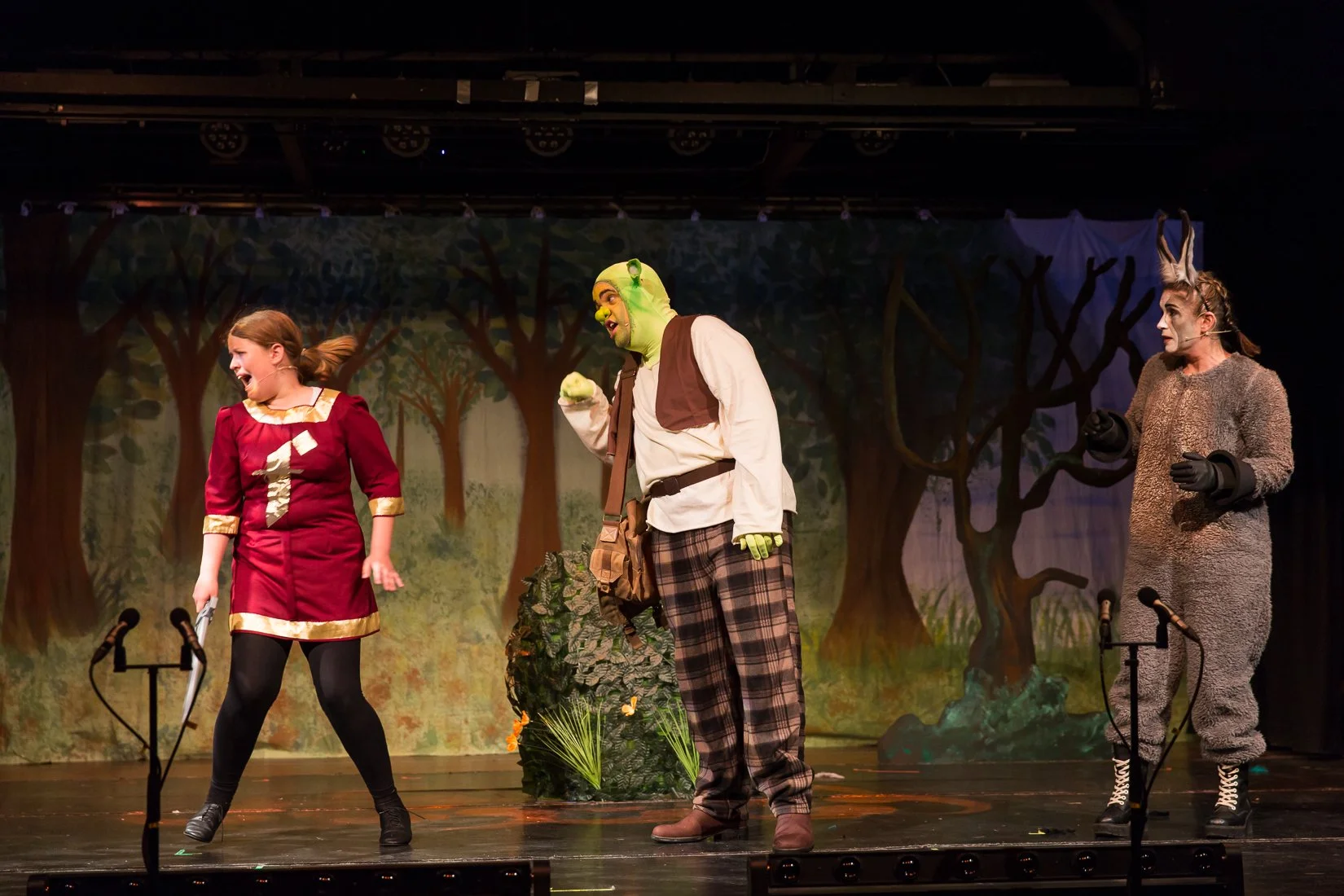 Shrek the Musical-87.JPG