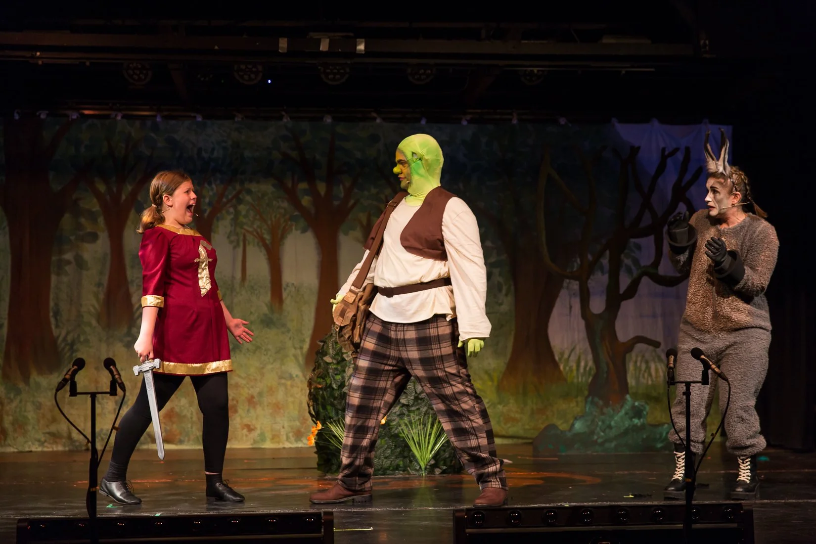 Shrek the Musical-86.JPG