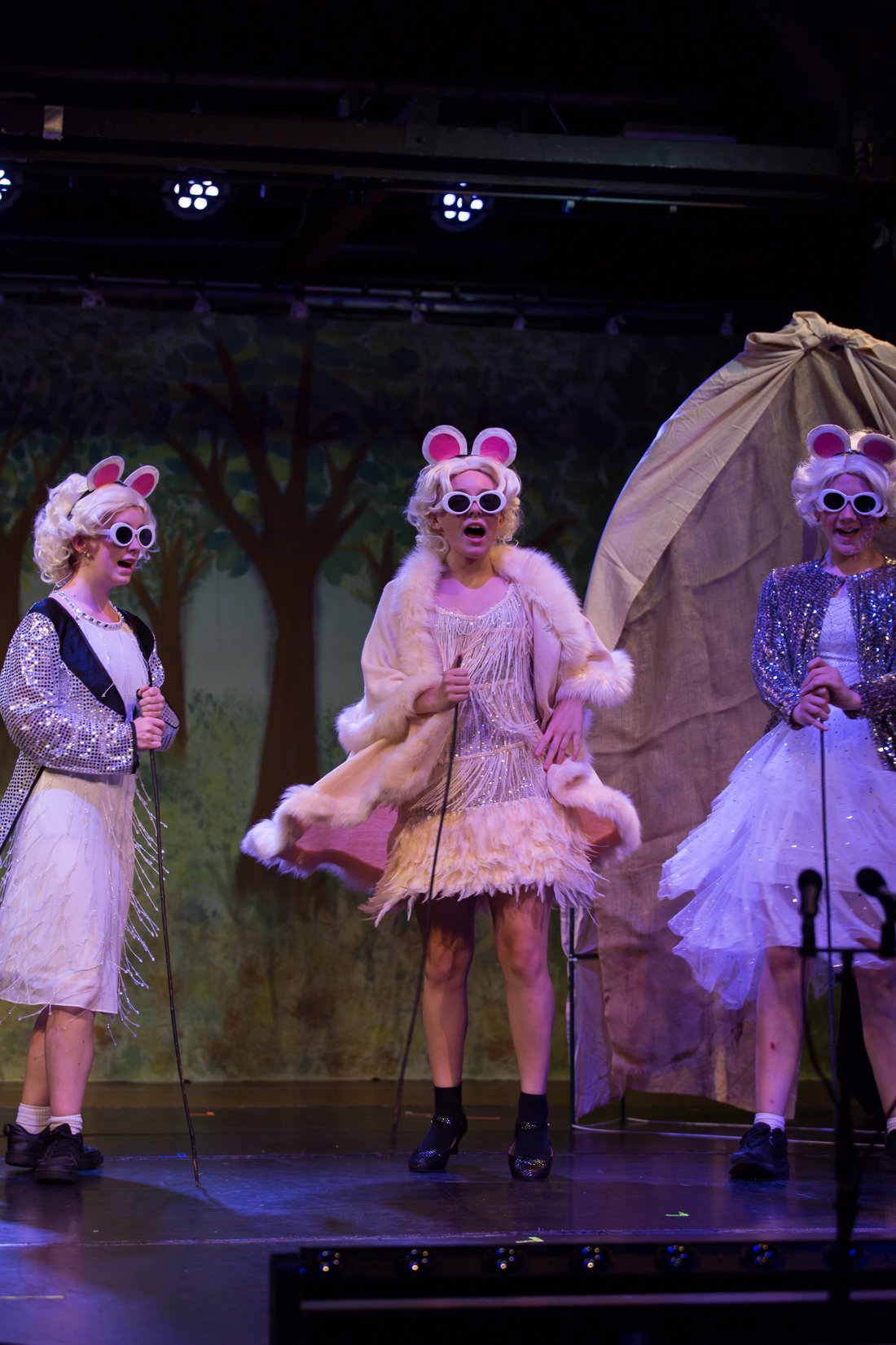 Shrek the Musical-444.JPG