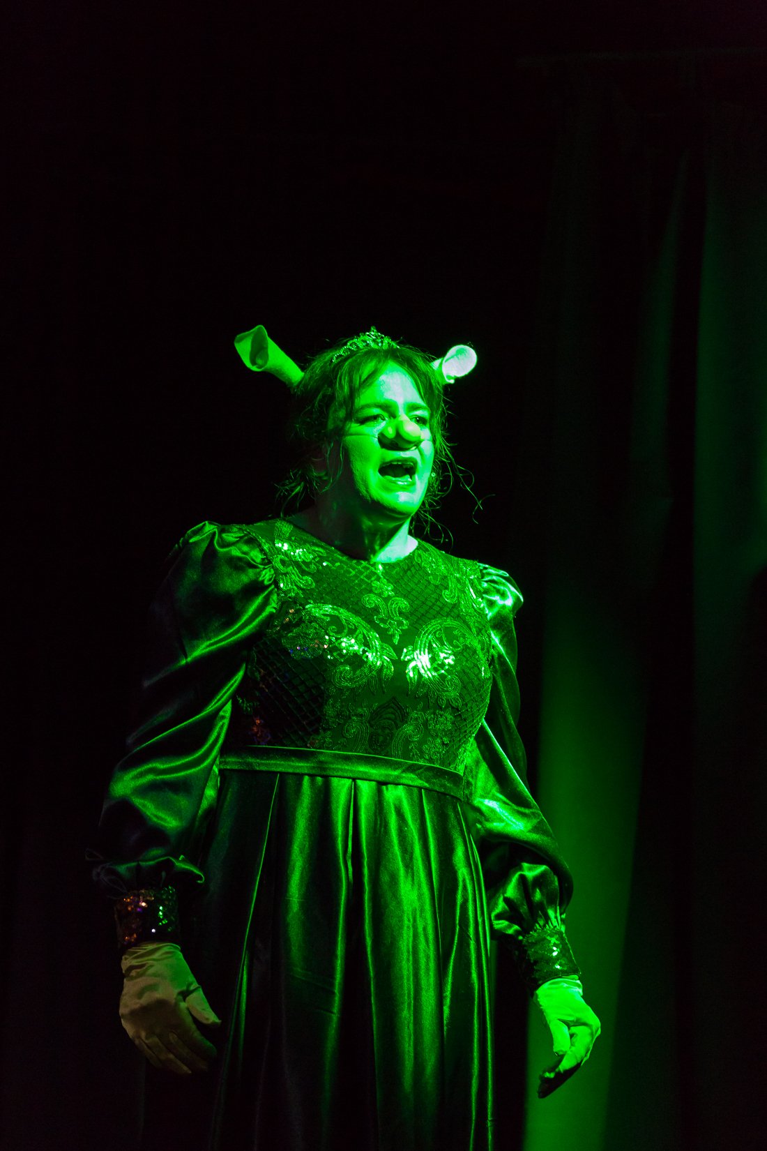 Shrek the Musical-328.JPG