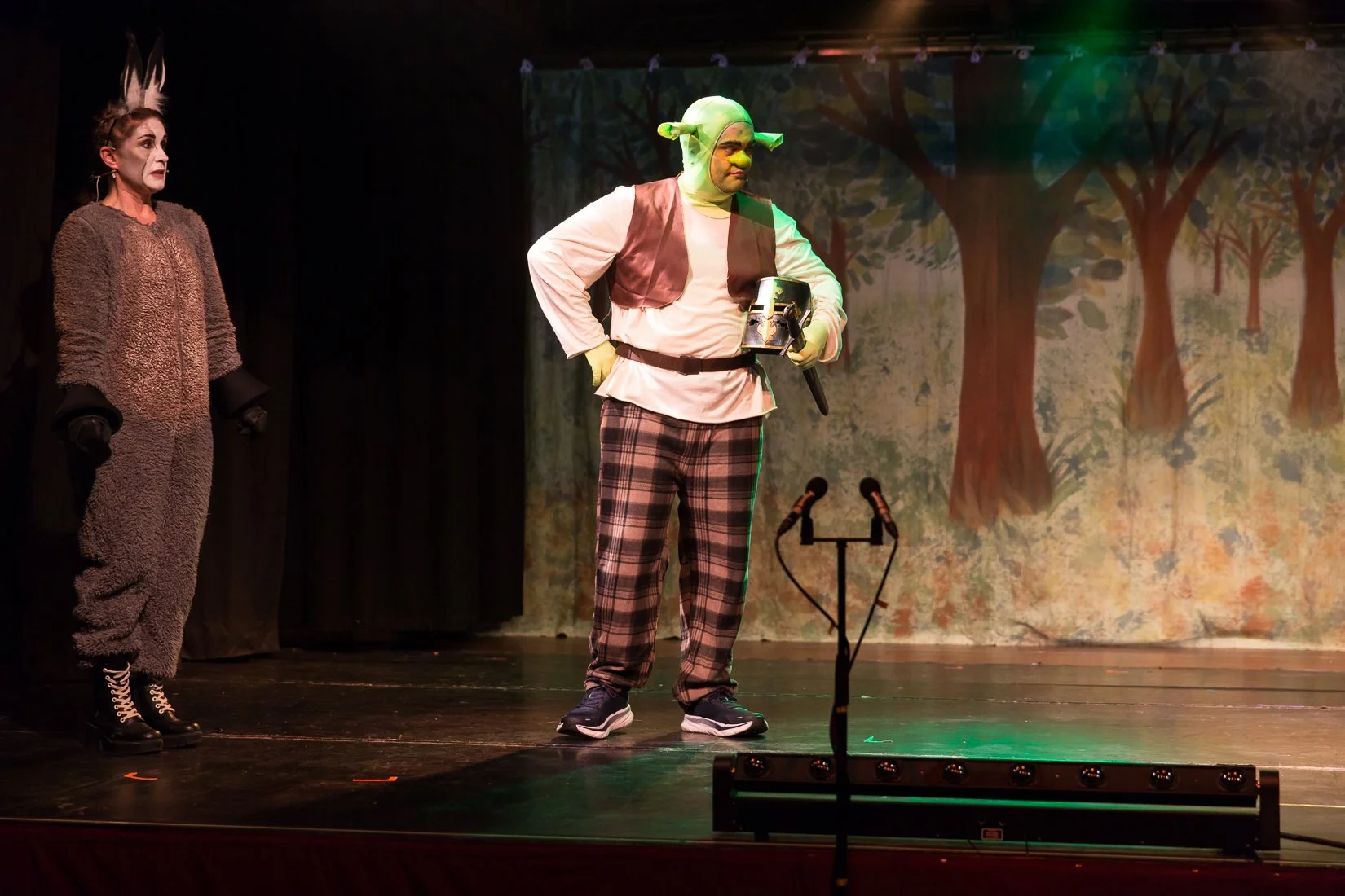 Shrek the Musical-305.JPG