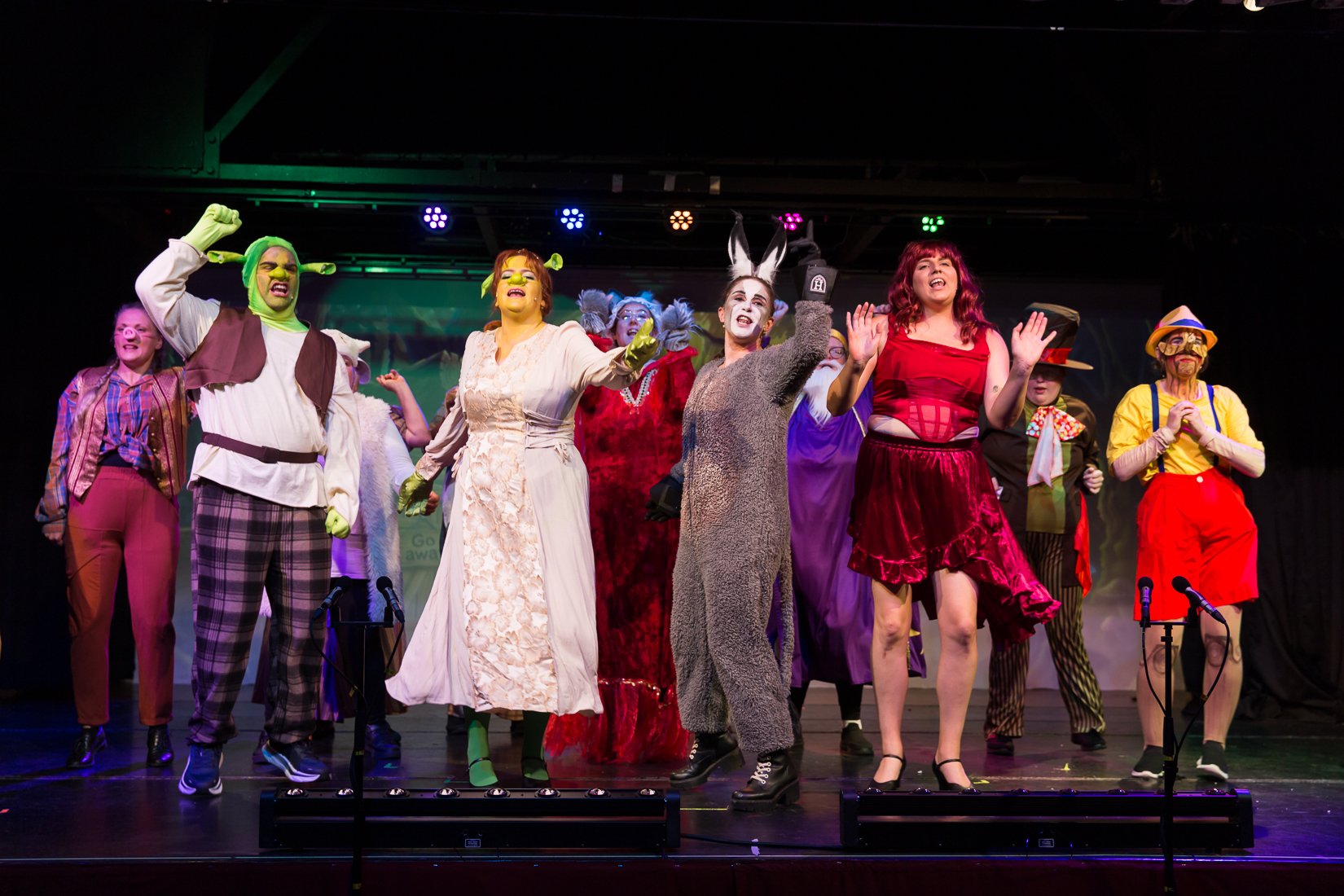 Shrek the Musical-670.JPG