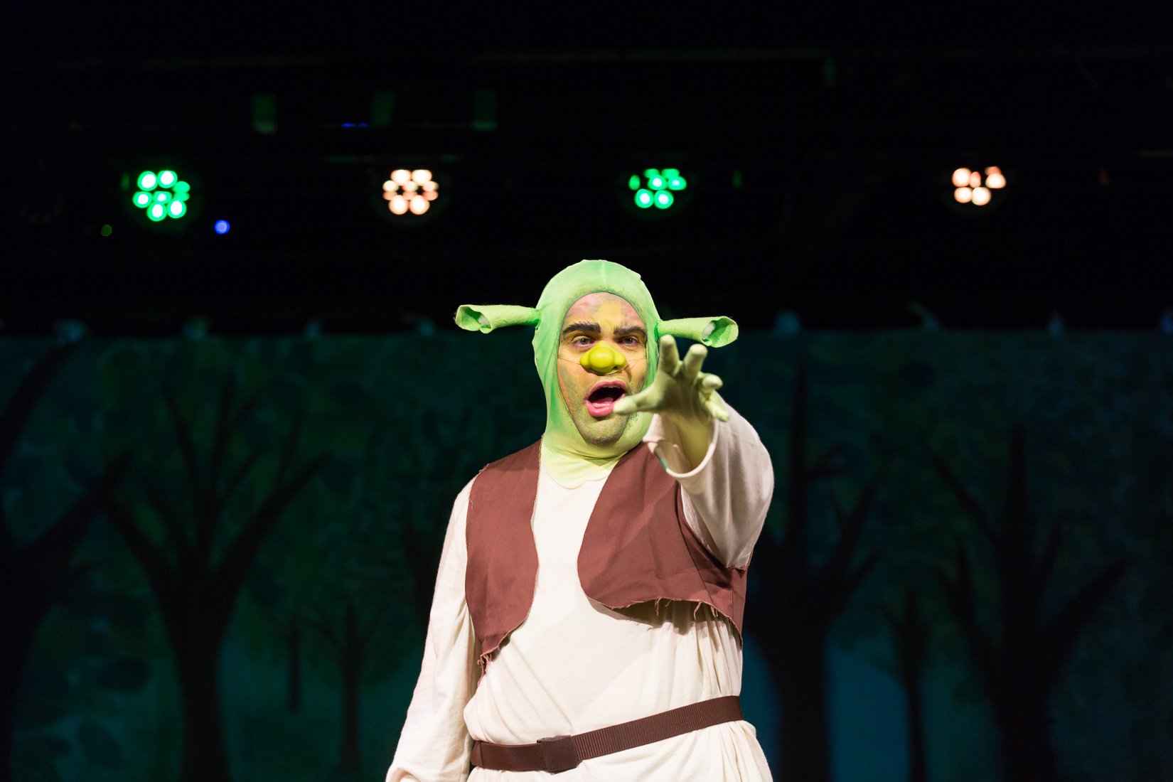 Shrek the Musical-508.JPG