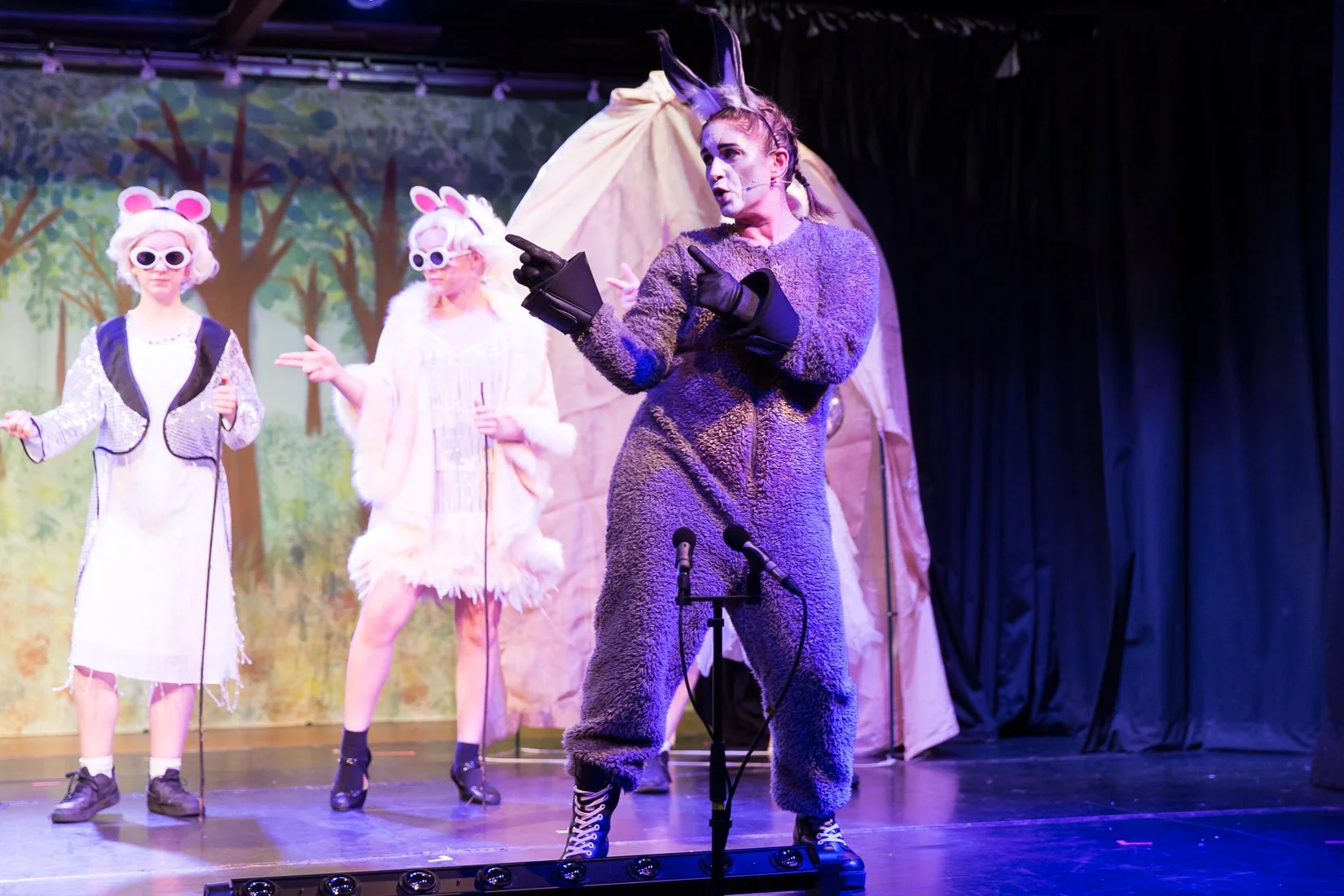 Shrek the Musical-460.JPG