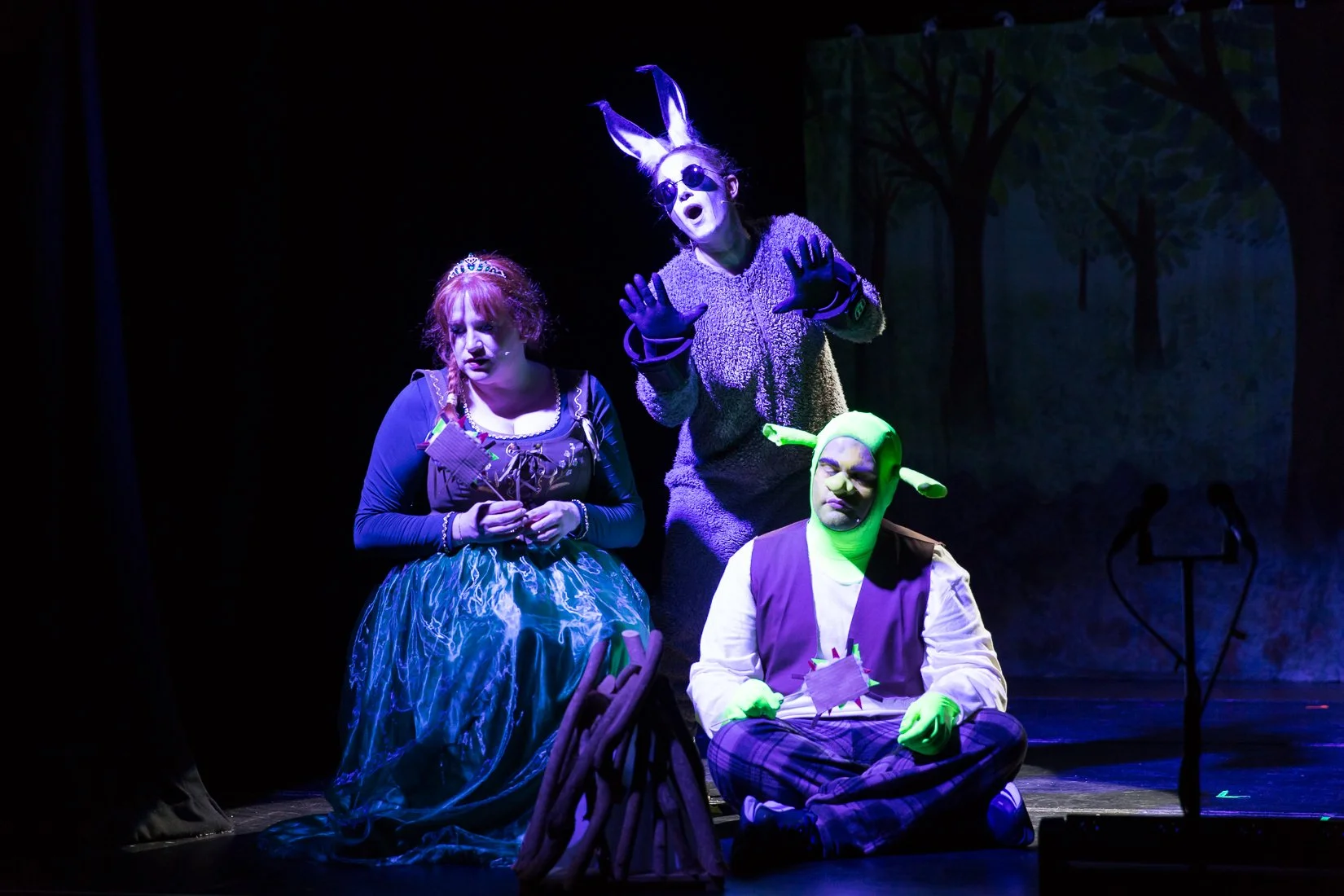 Shrek the Musical-457.JPG