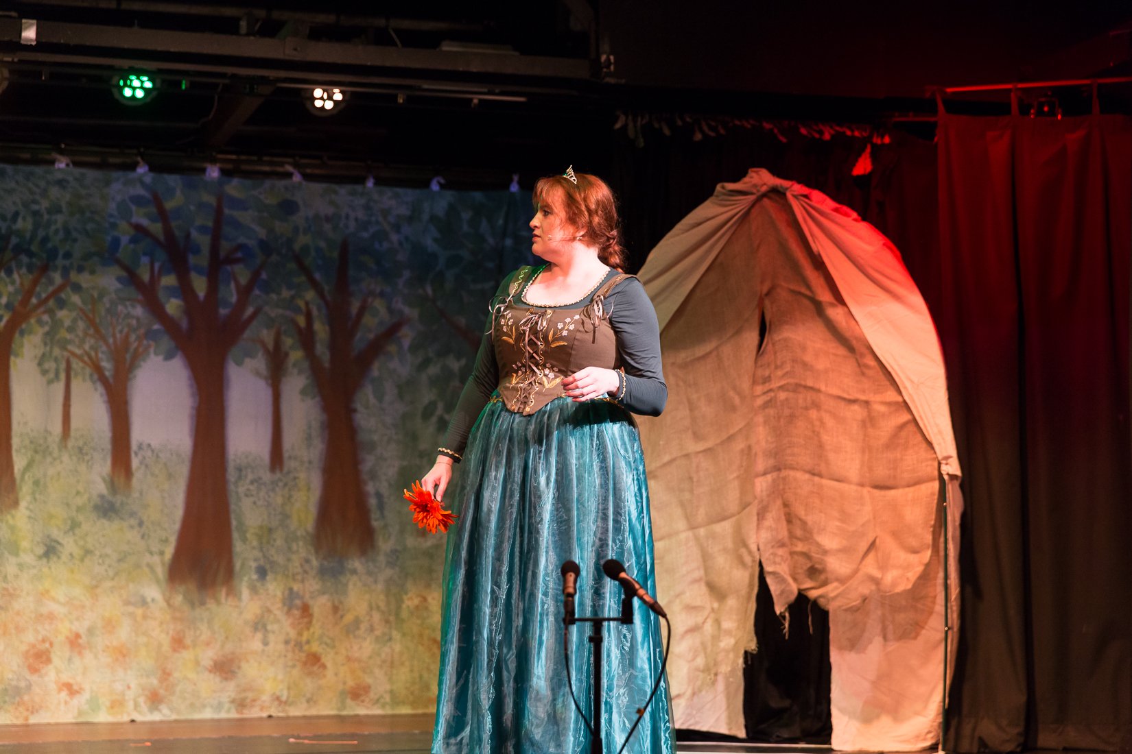 Shrek the Musical-490.JPG