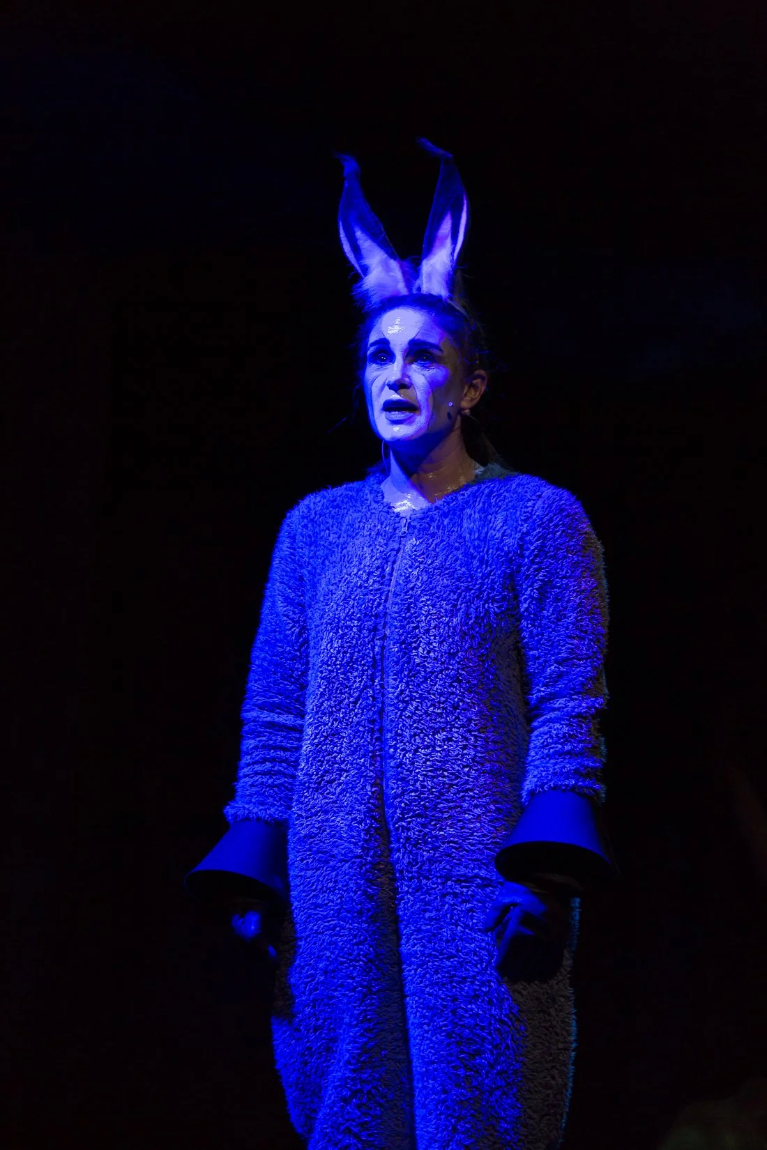Shrek the Musical-330.JPG