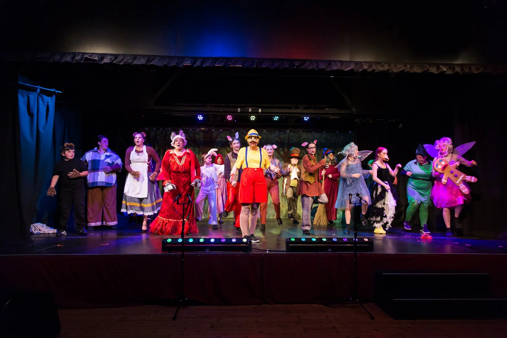 Shrek the Musical-550.JPG