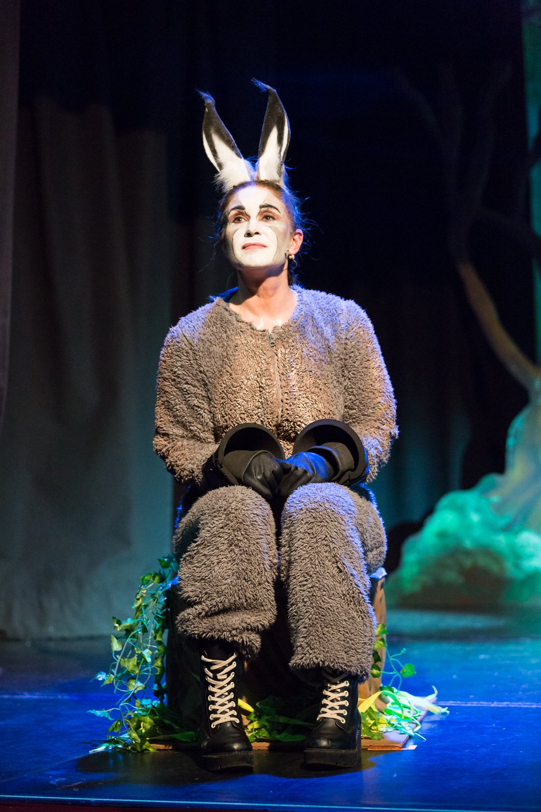 Shrek the Musical-321.JPG