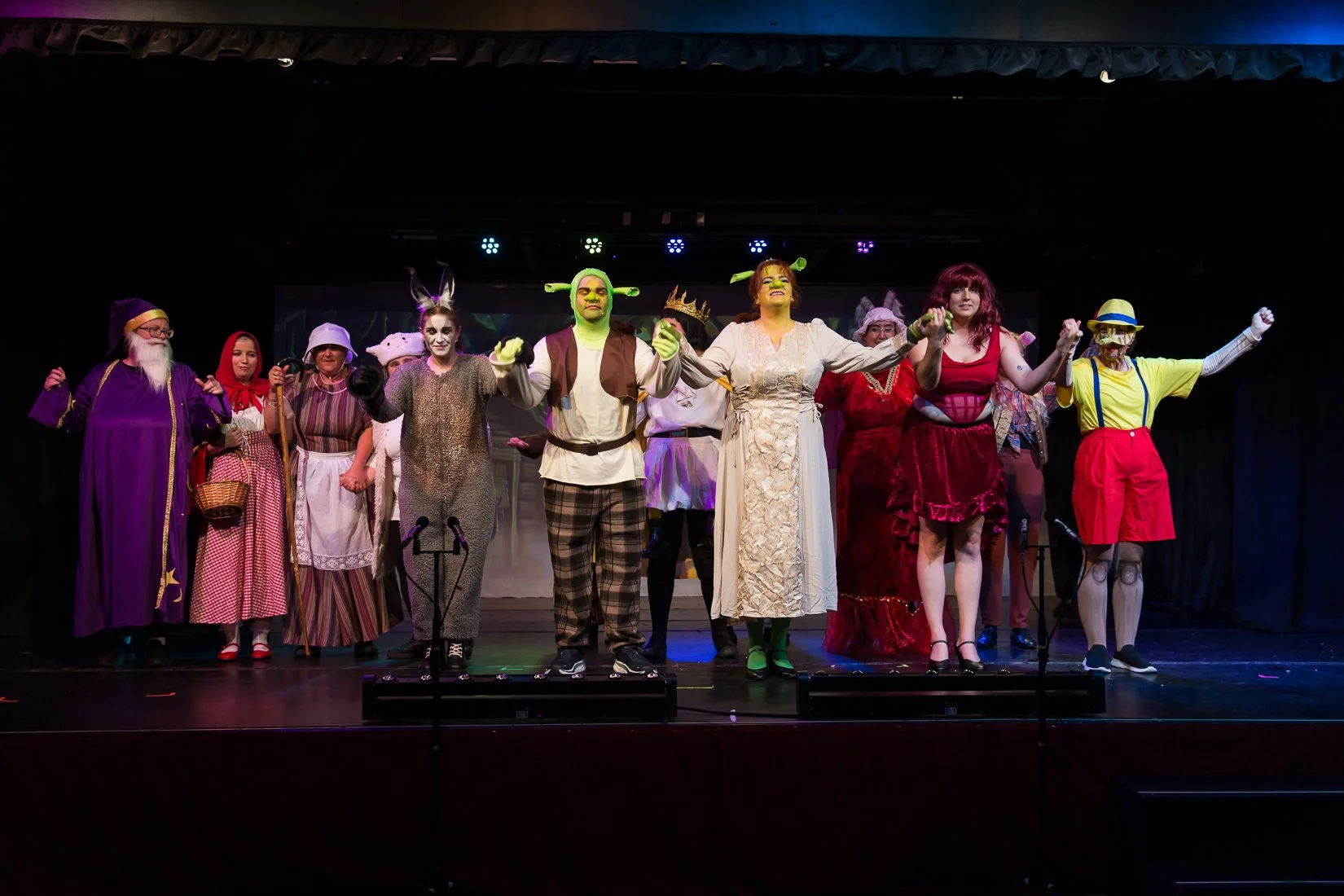 Shrek the Musical-650.JPG