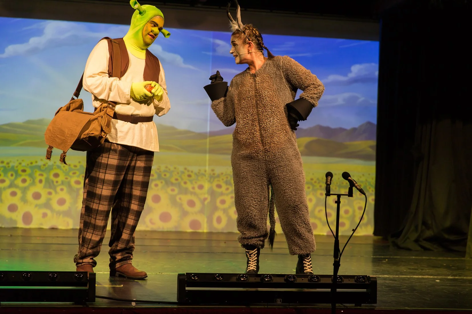 Shrek the Musical-217.JPG