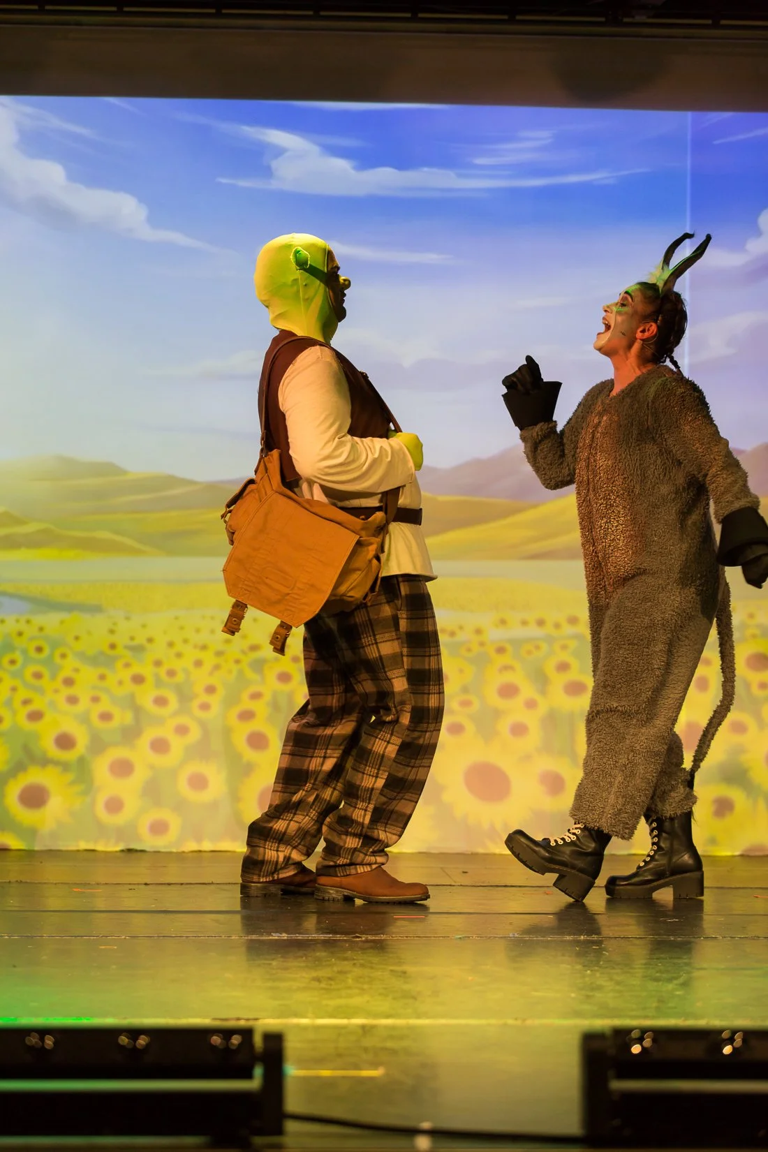 Shrek the Musical-221.JPG