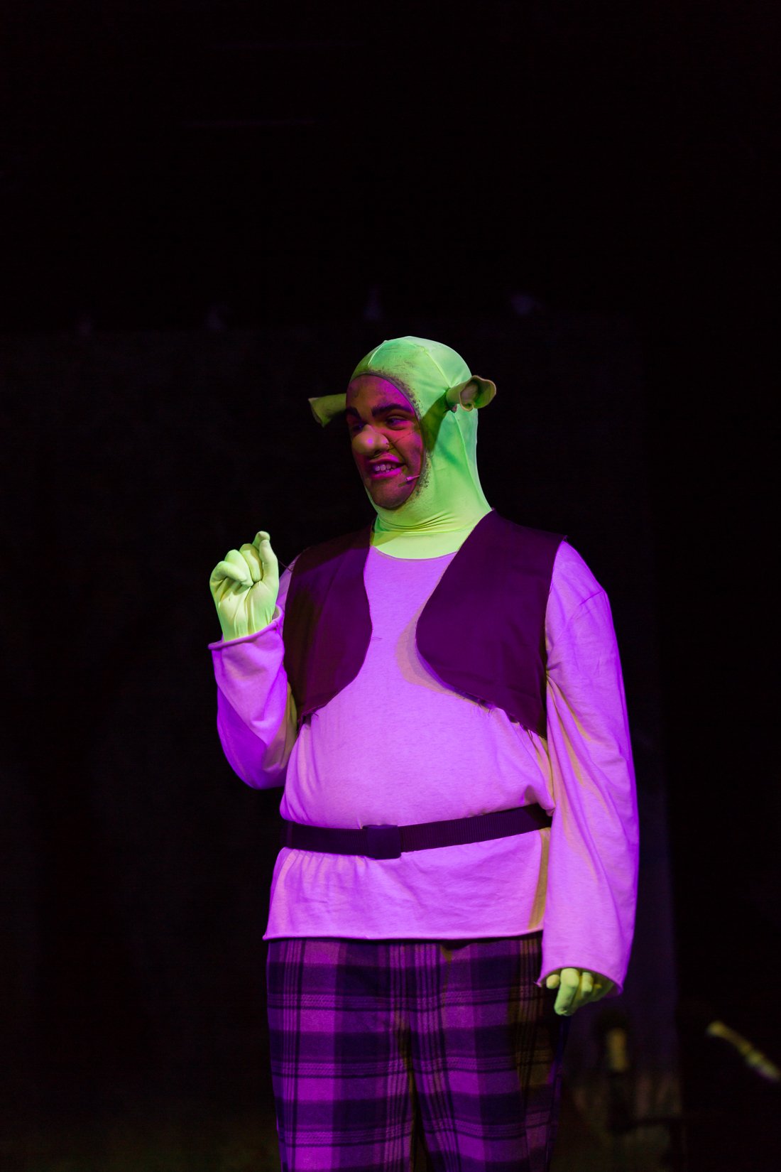 Shrek the Musical-384.JPG