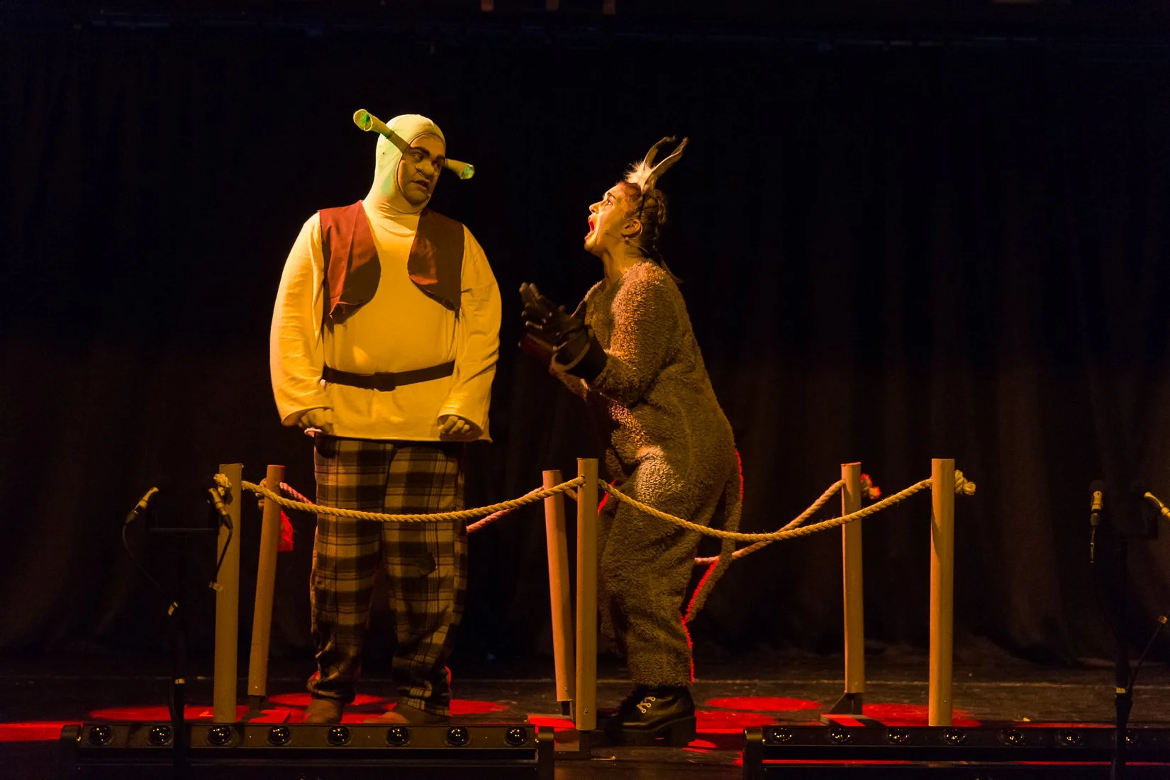 Shrek the Musical-233.JPG