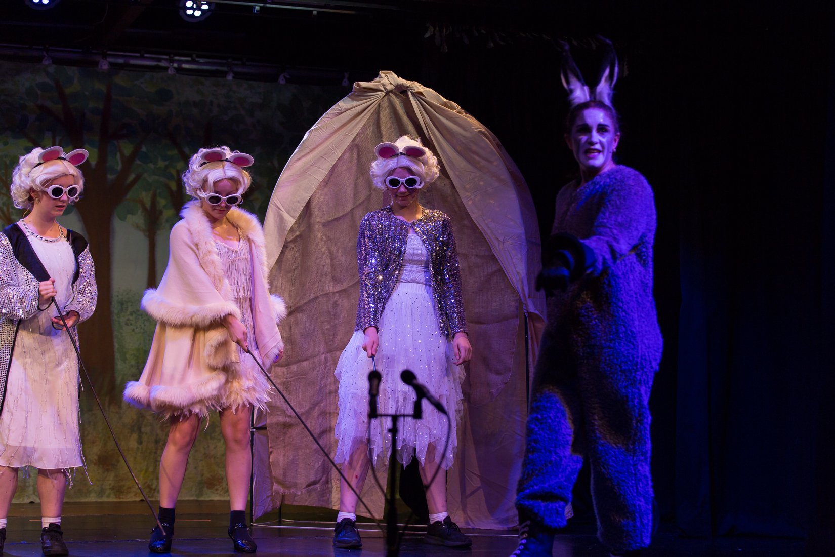 Shrek the Musical-447.JPG