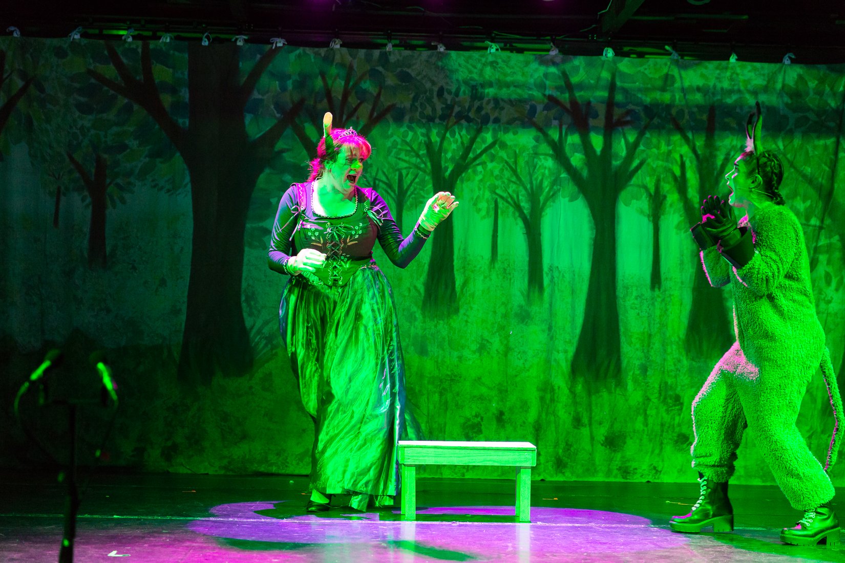 Shrek the Musical-476.JPG