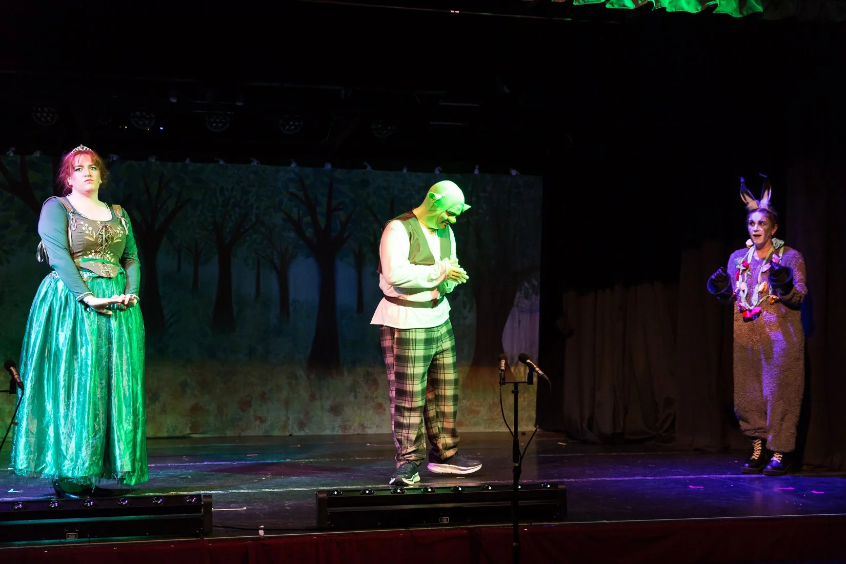 Shrek the Musical-393.JPG