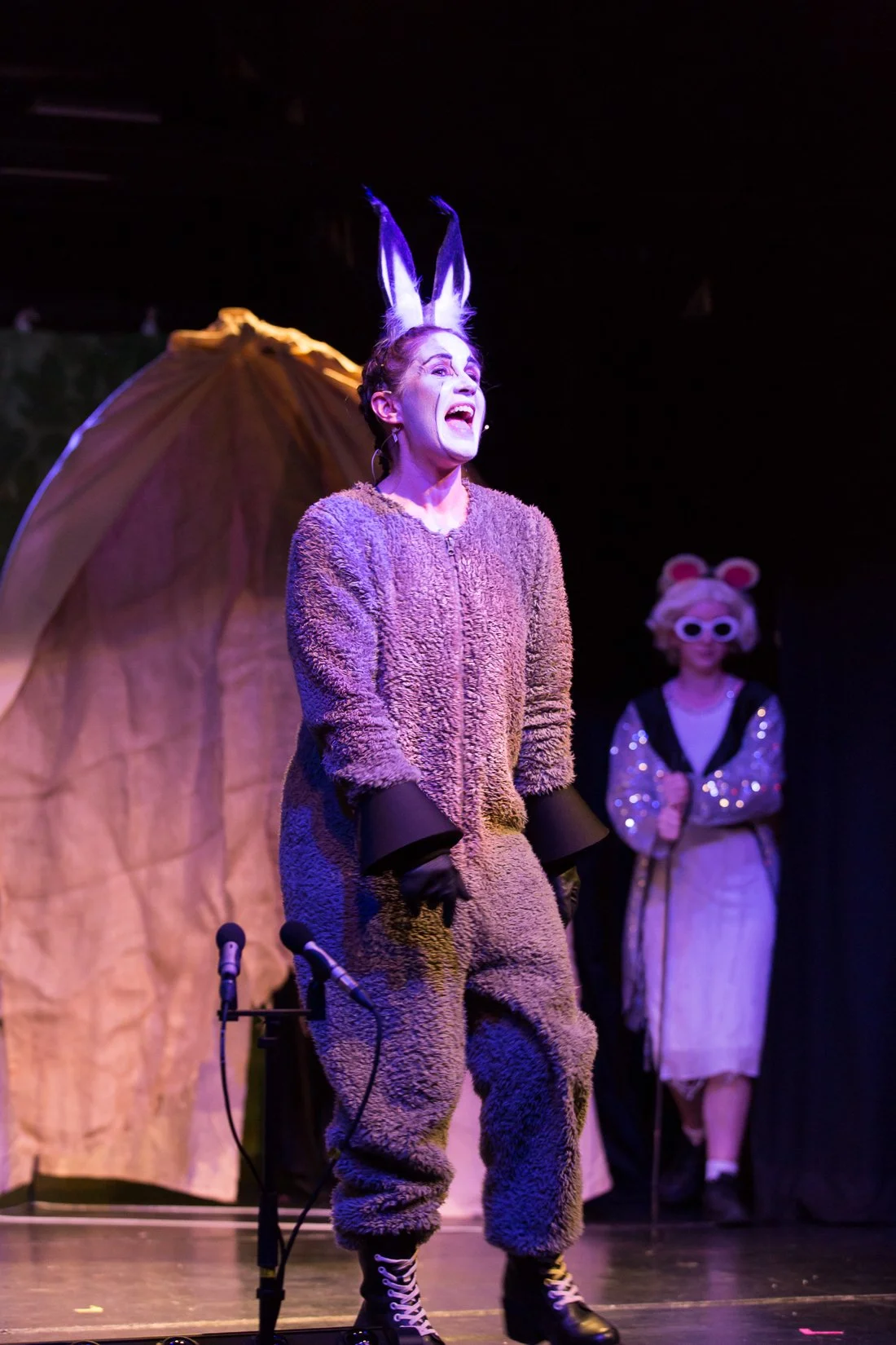 Shrek the Musical-442.JPG