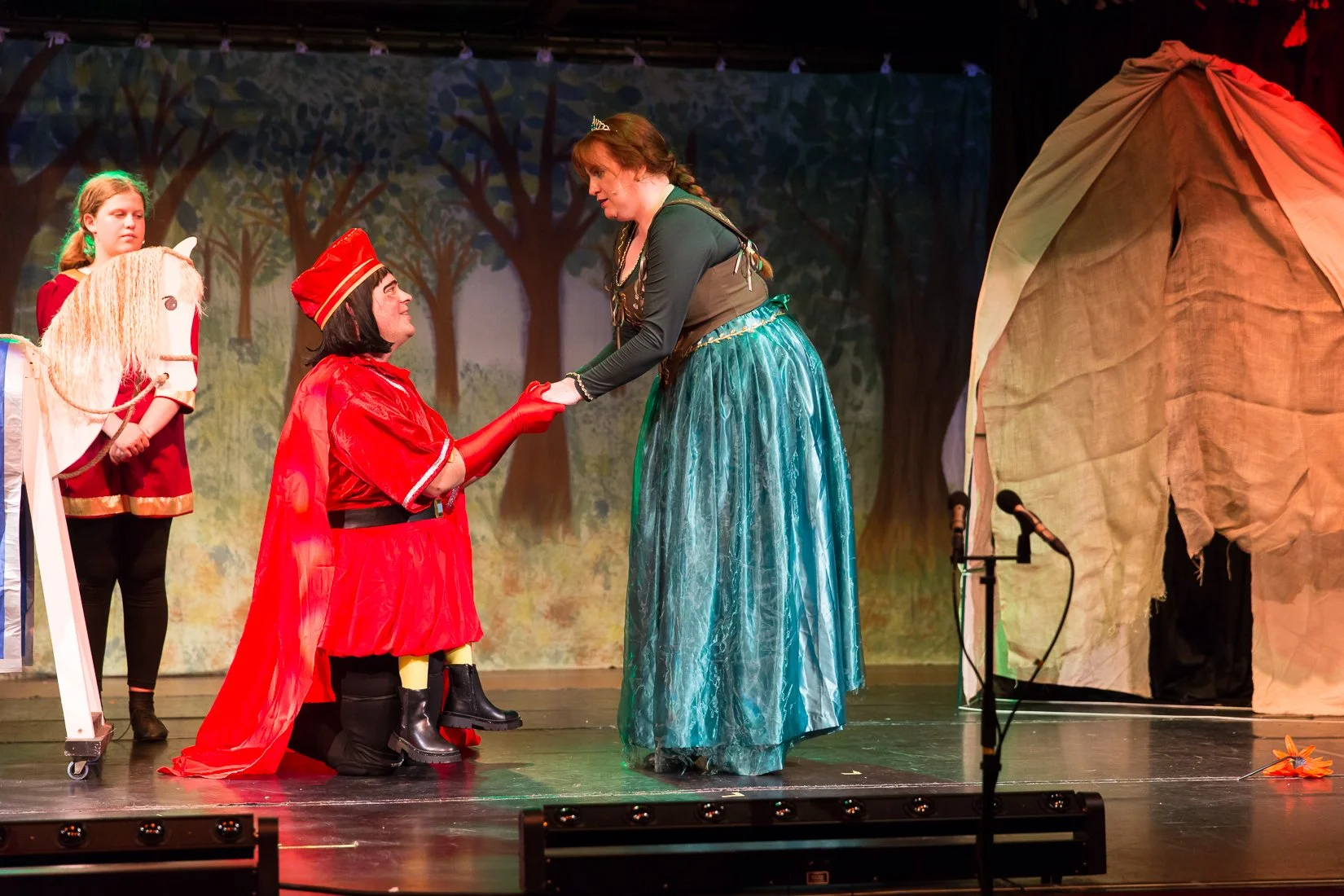 Shrek the Musical-493.JPG